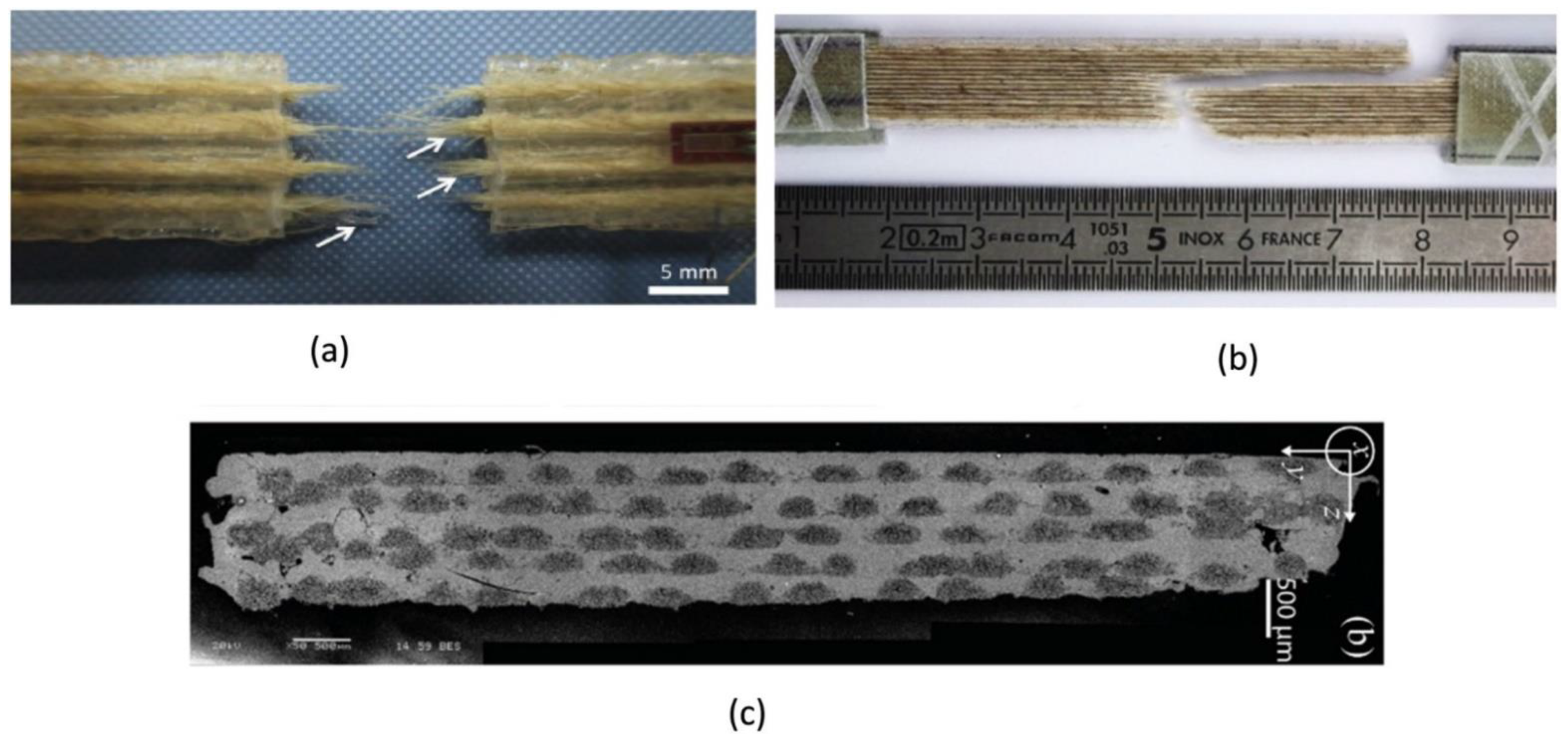 Polymers 13 01326 g007