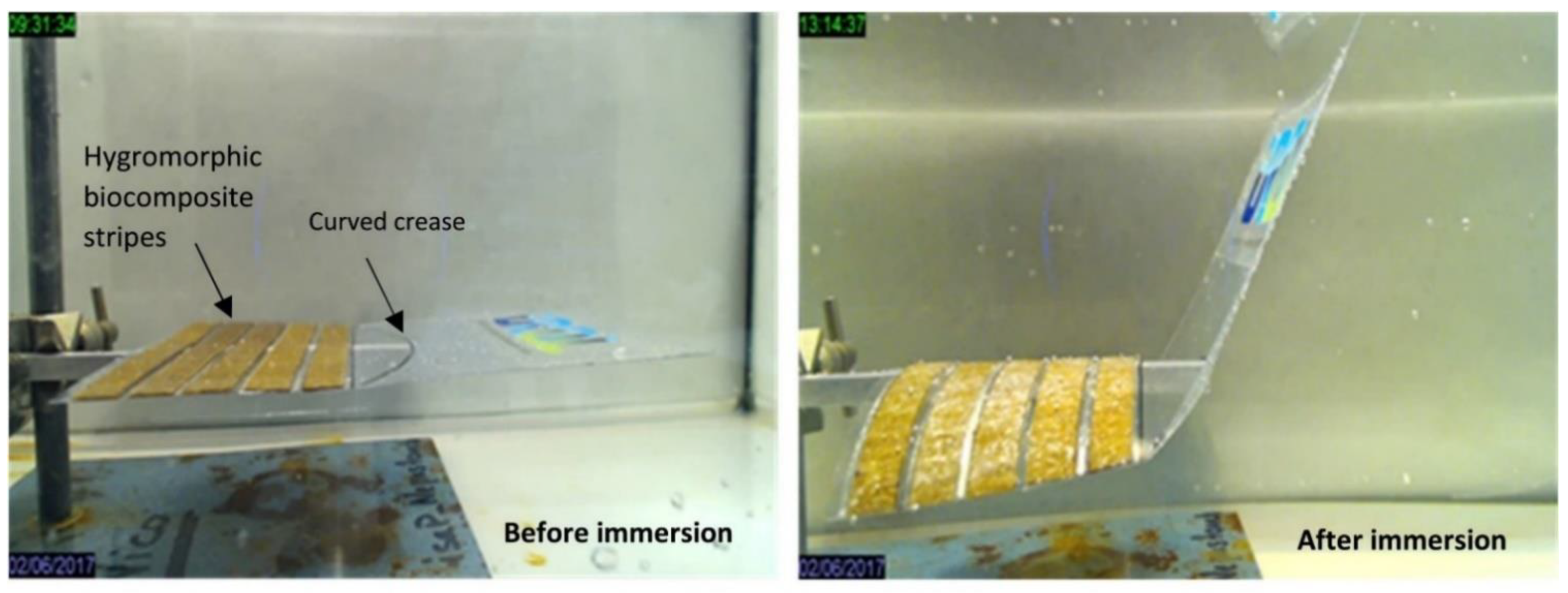 Polymers 13 01326 g009