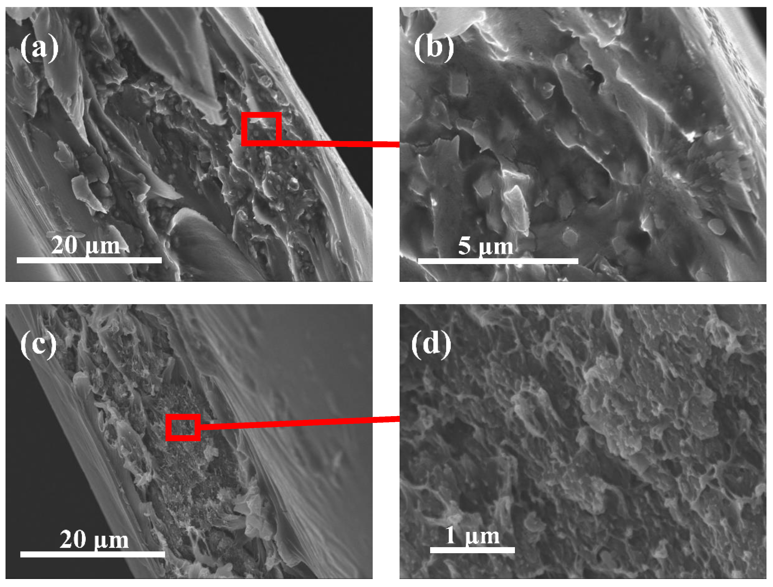 Polymers 13 01329 g003 Polymers 13 01329 g003