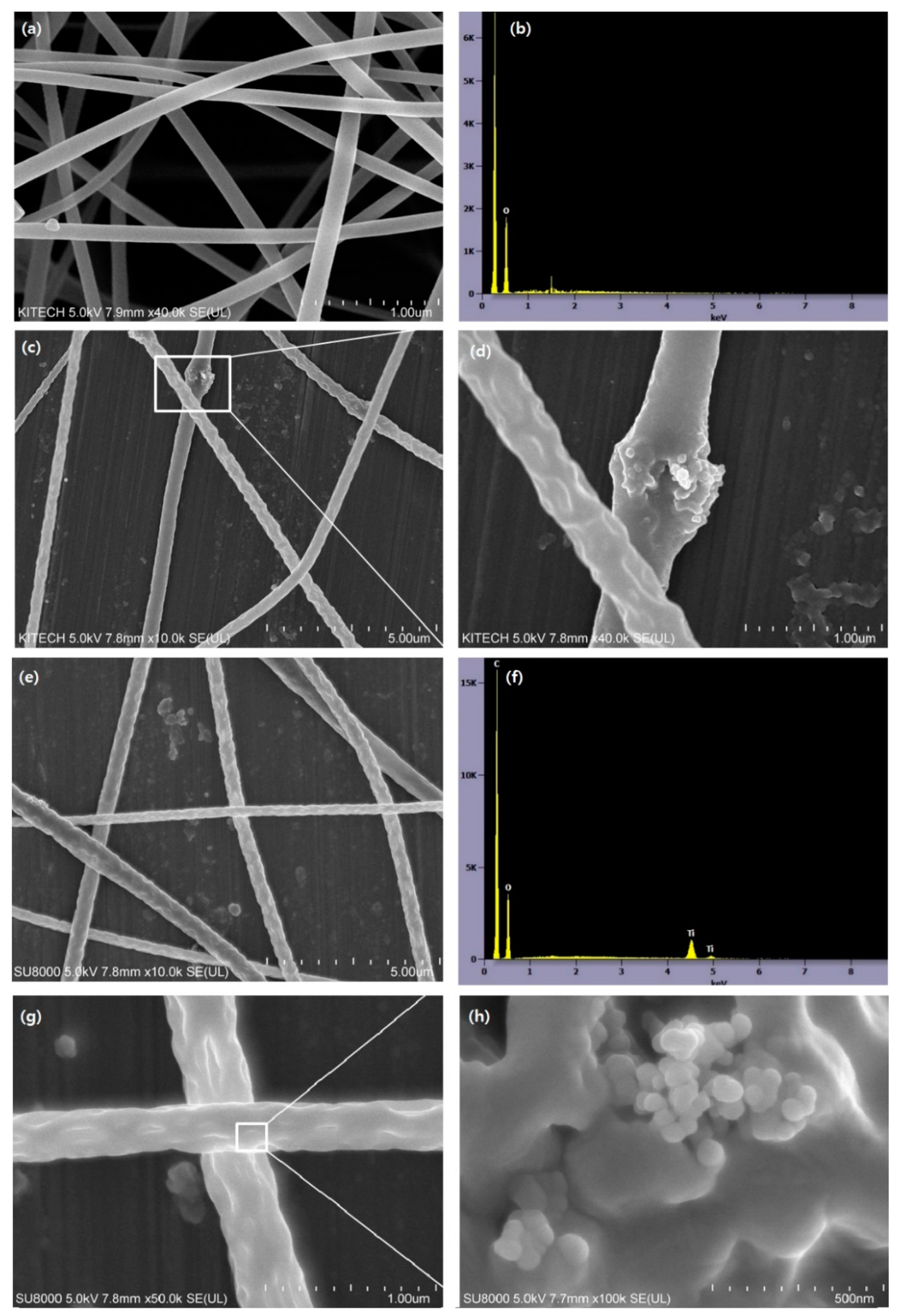 Polymers 13 01331 g002 Polymers 13 01331 g002