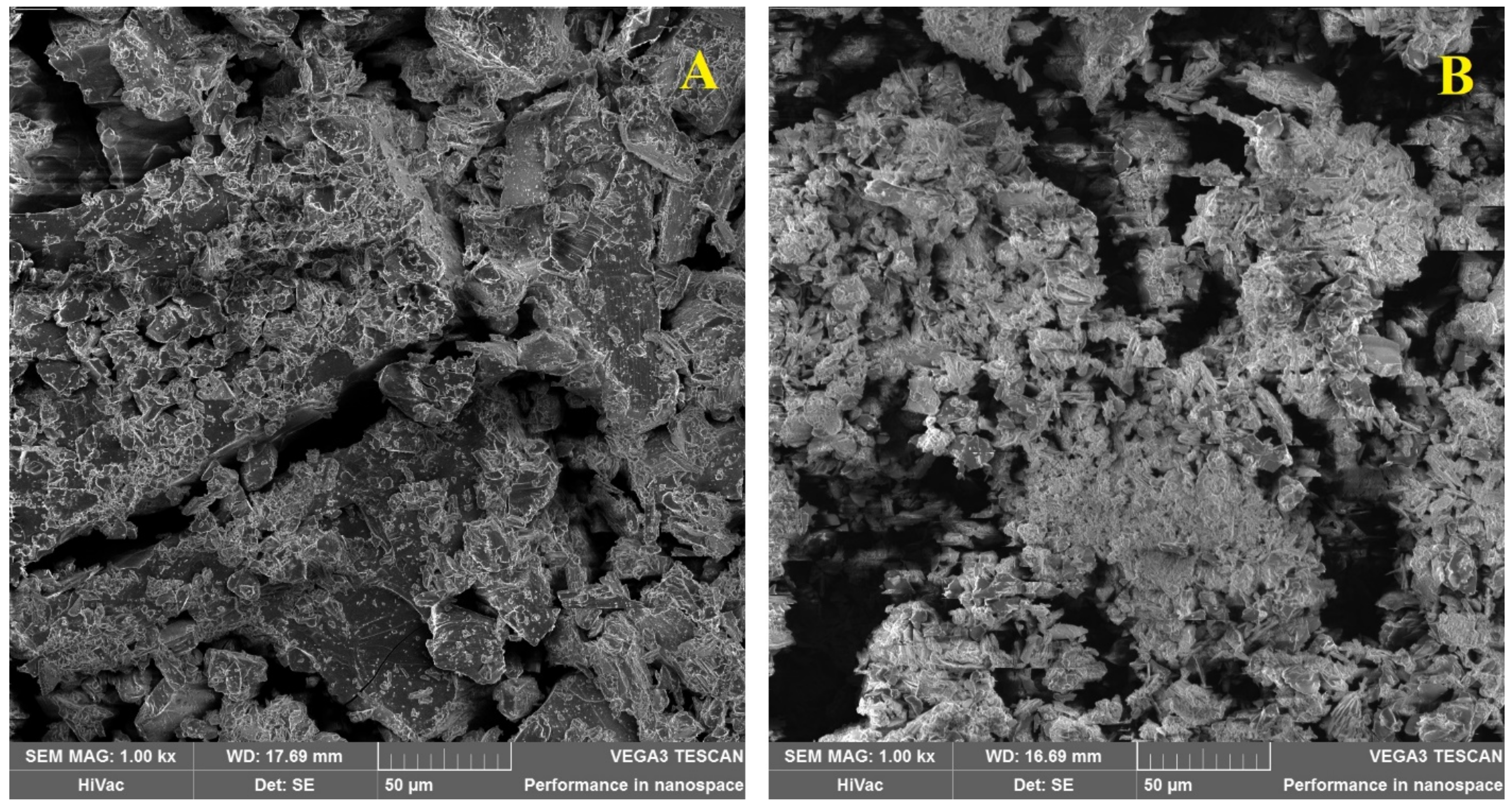 Polymers 13 01332 g004 Polymers 13 01332 g004