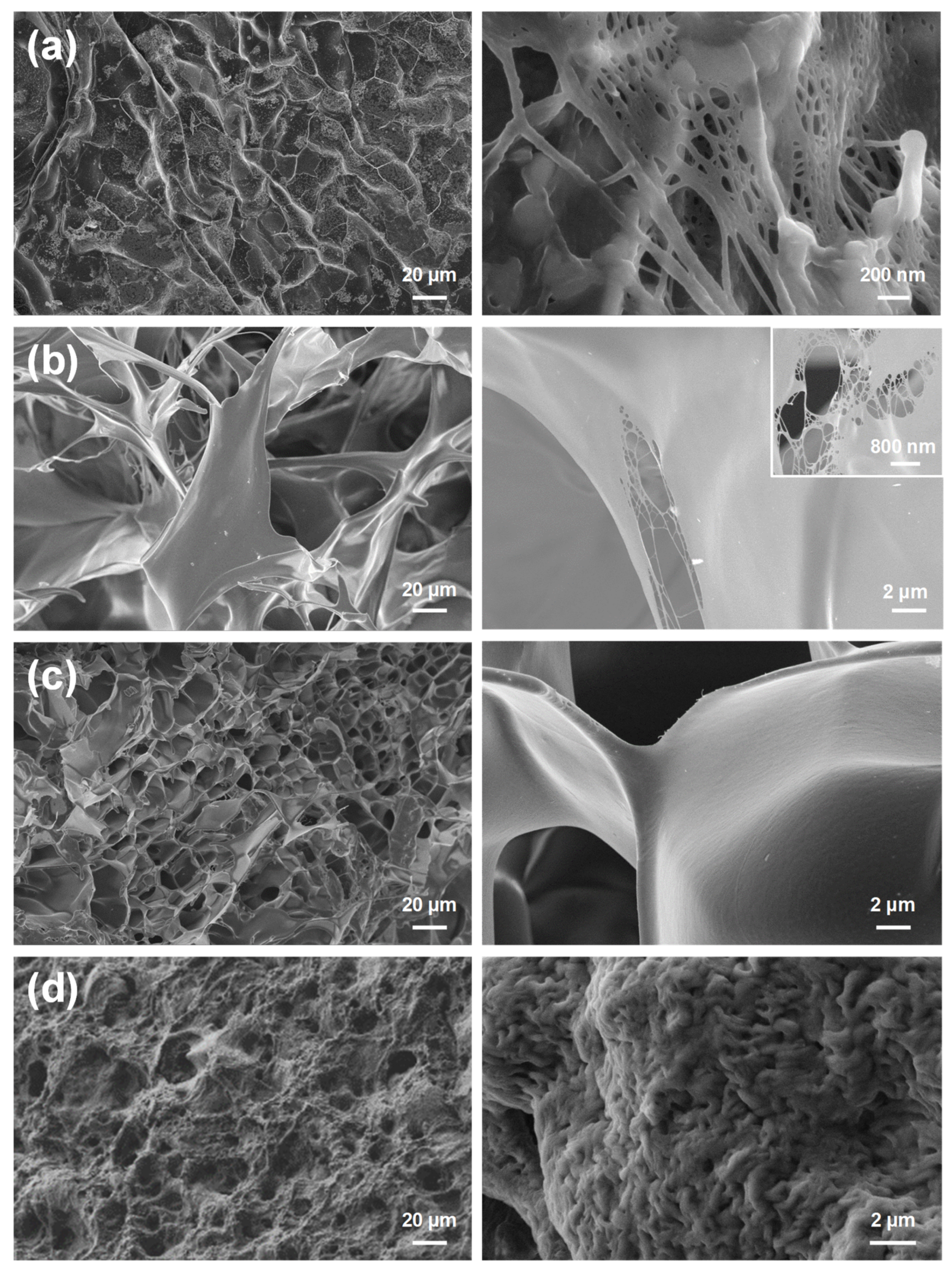 Polymers 13 01337 g001 Polymers 13 01337 g001