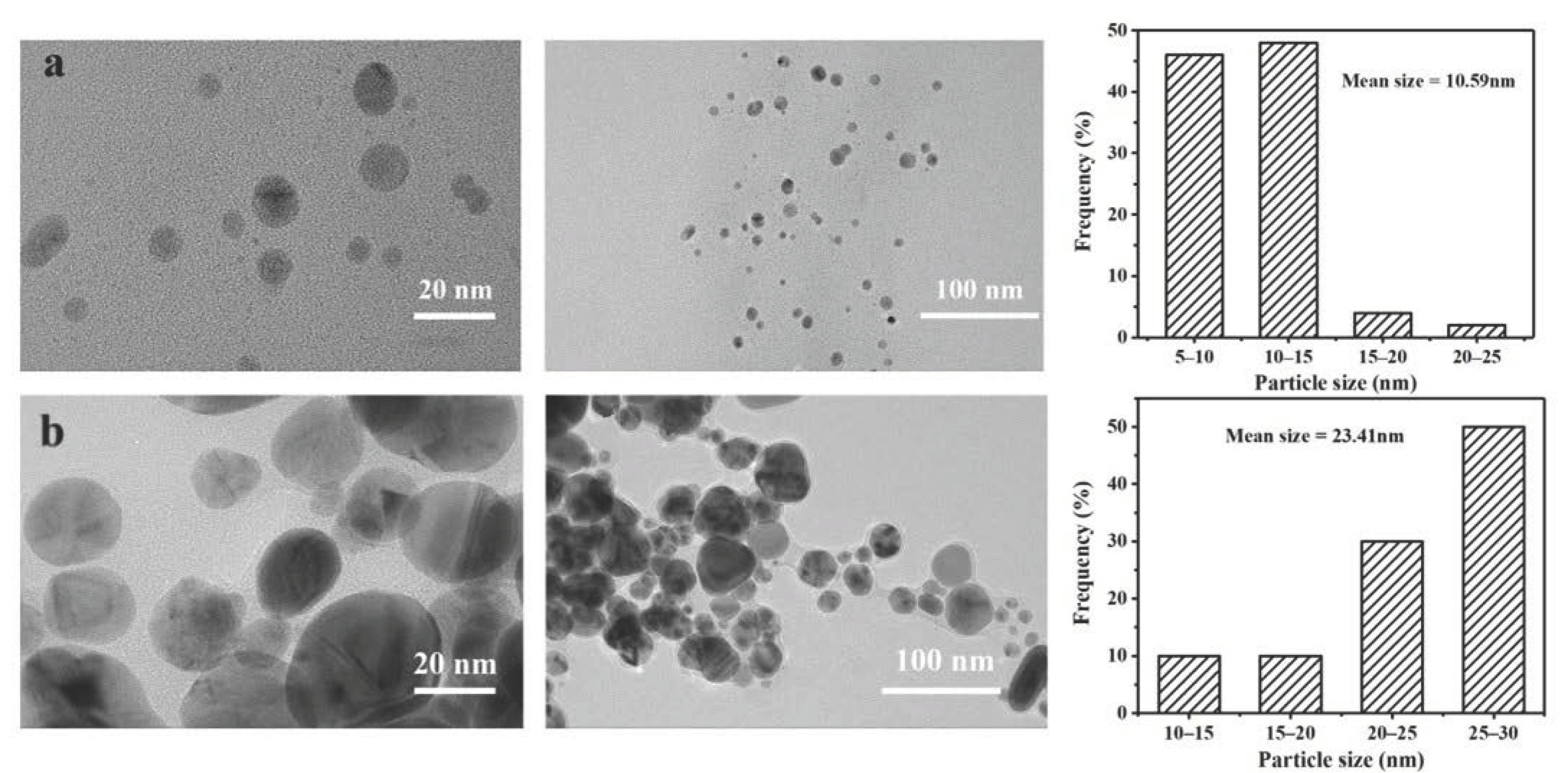 Polymers 13 01338 g002 Polymers 13 01338 g002