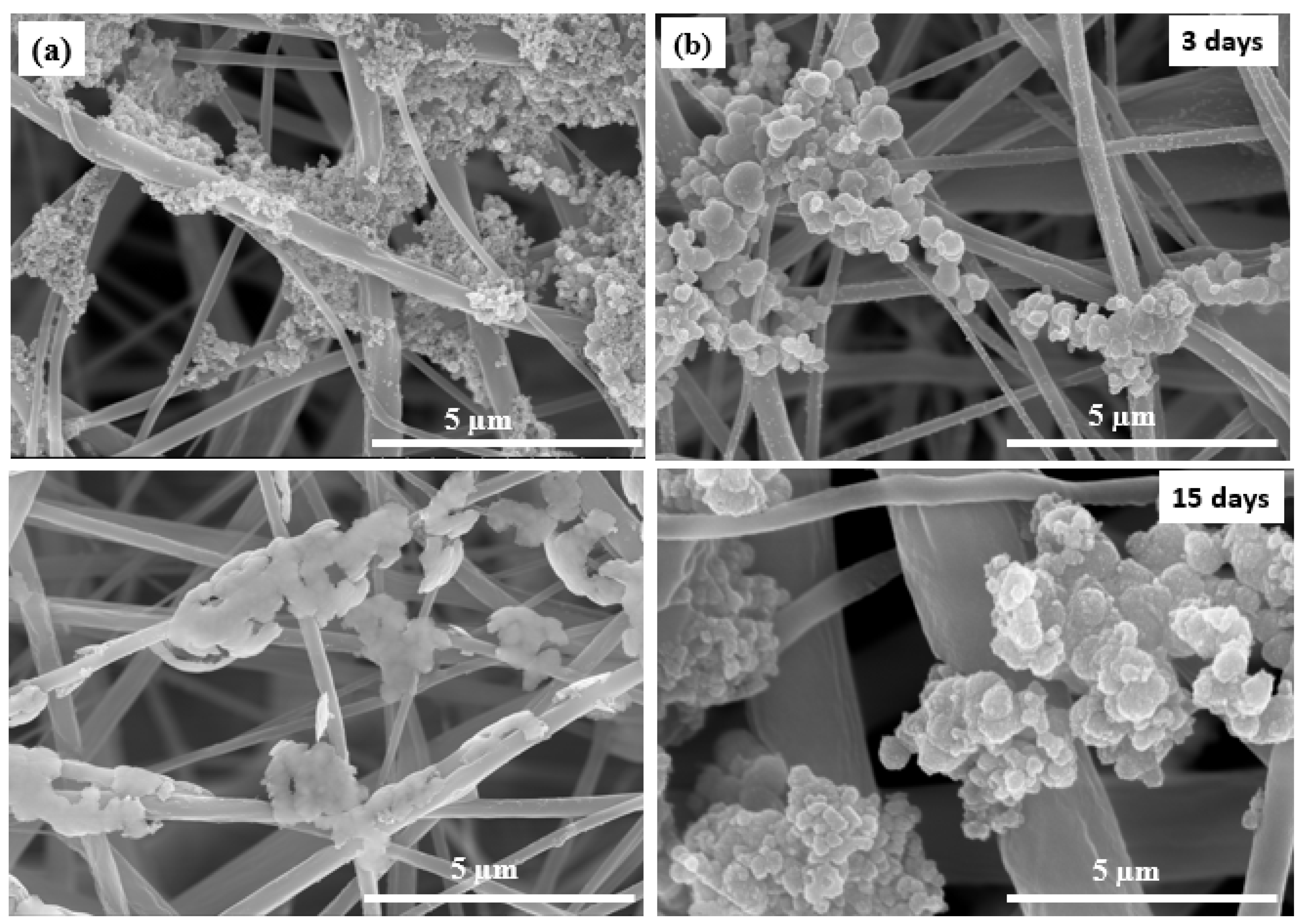 Polymers 13 01339 g005