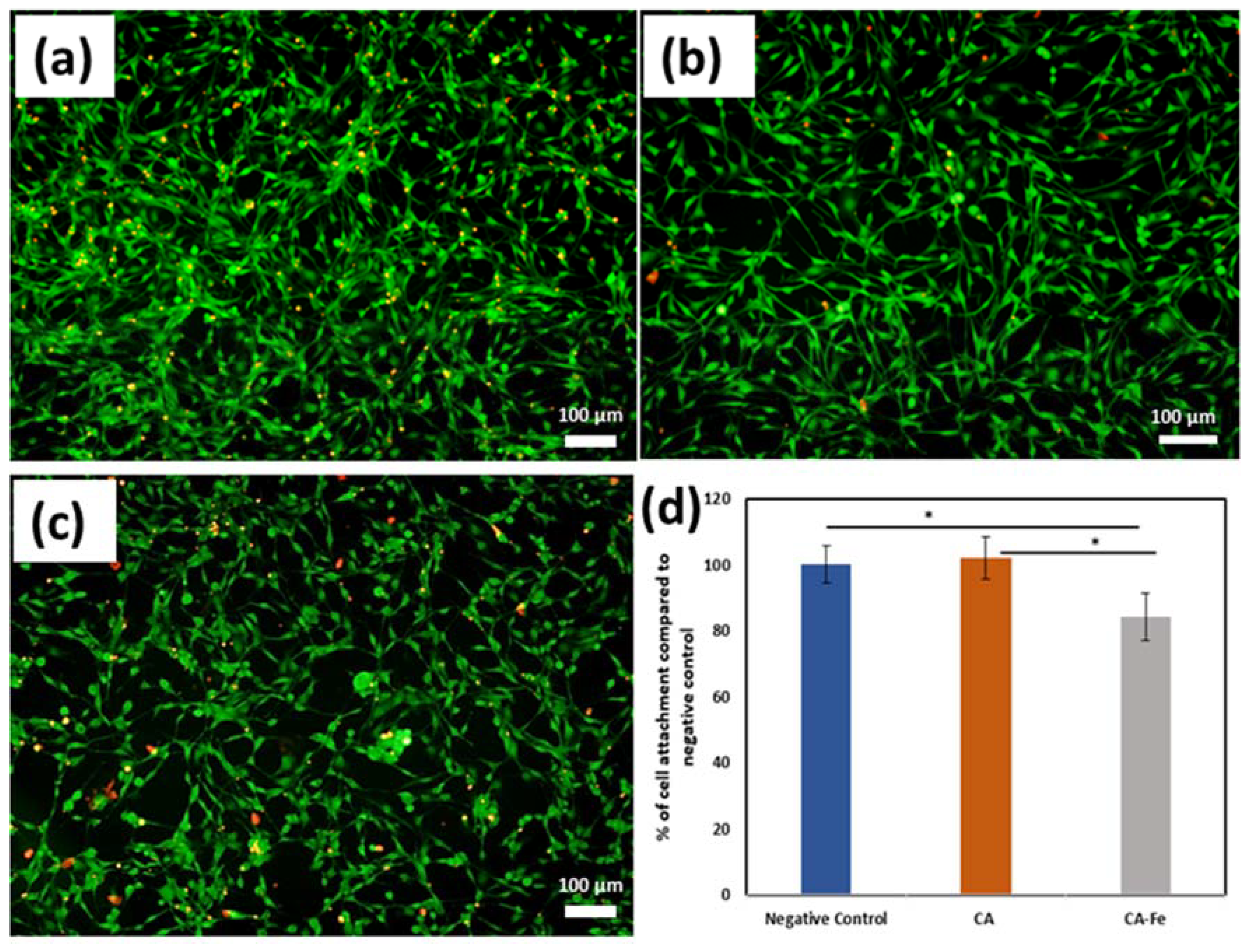 Polymers 13 01339 g008