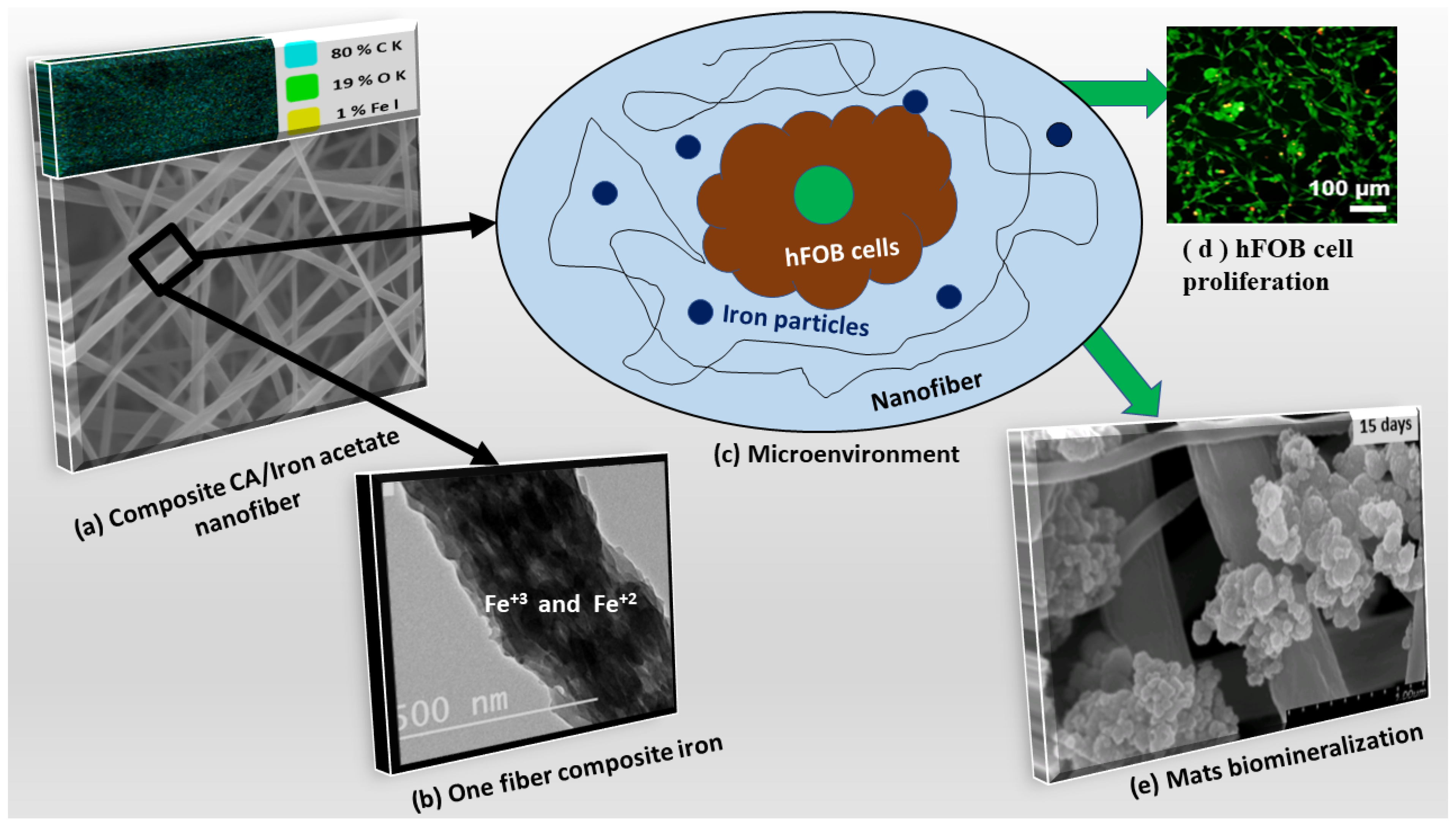 Polymers 13 01339 g010