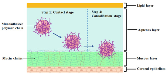 Potential of Stimuli-Responsive In Situ Gel System for Sustained Ocular ...