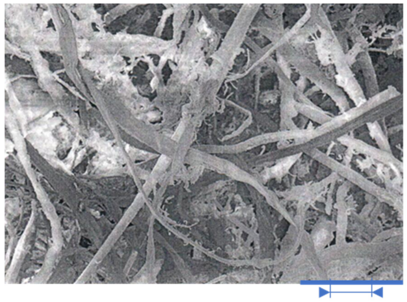 Polymers 13 01344 g001