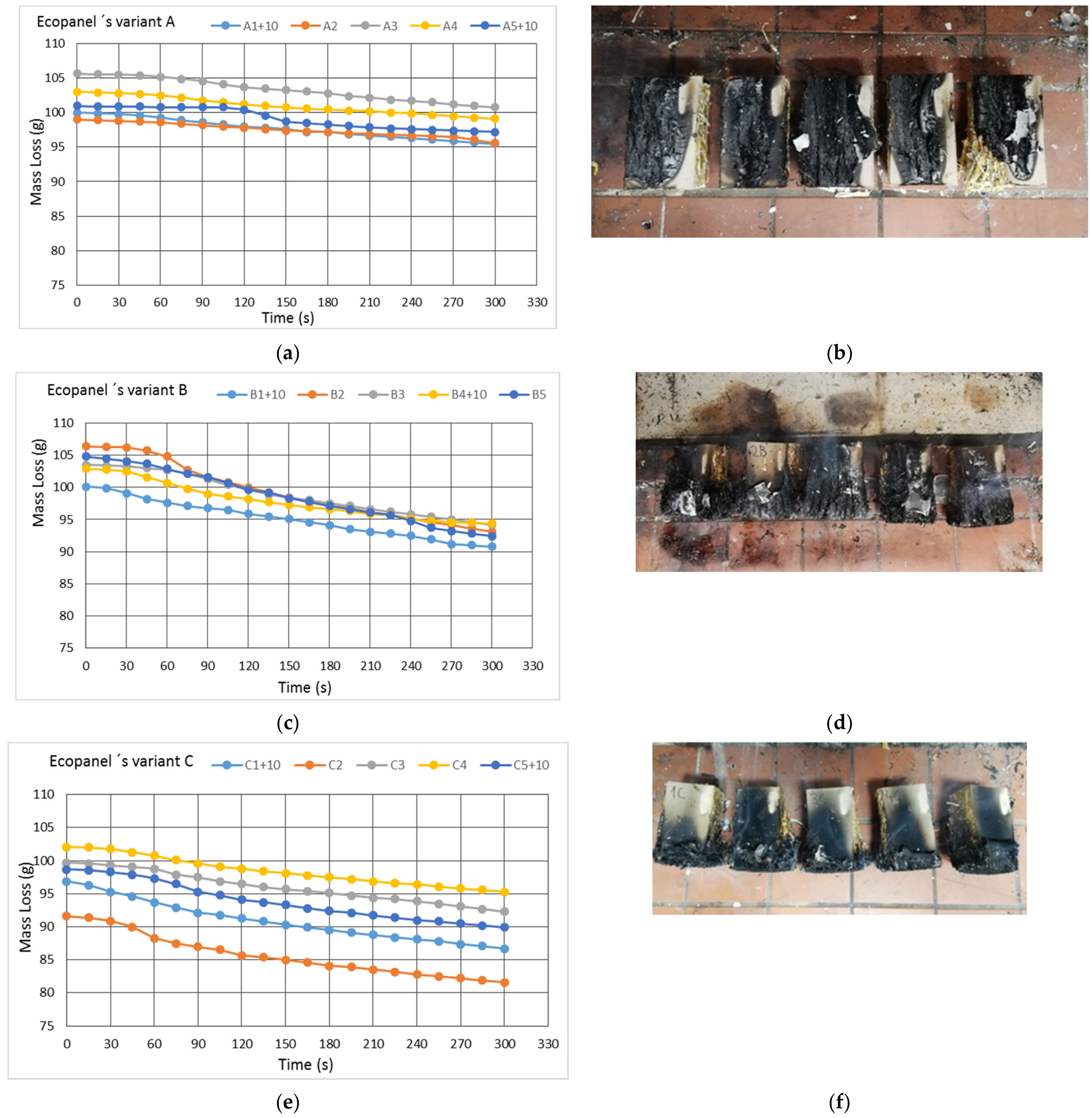 Polymers 13 01344 g005