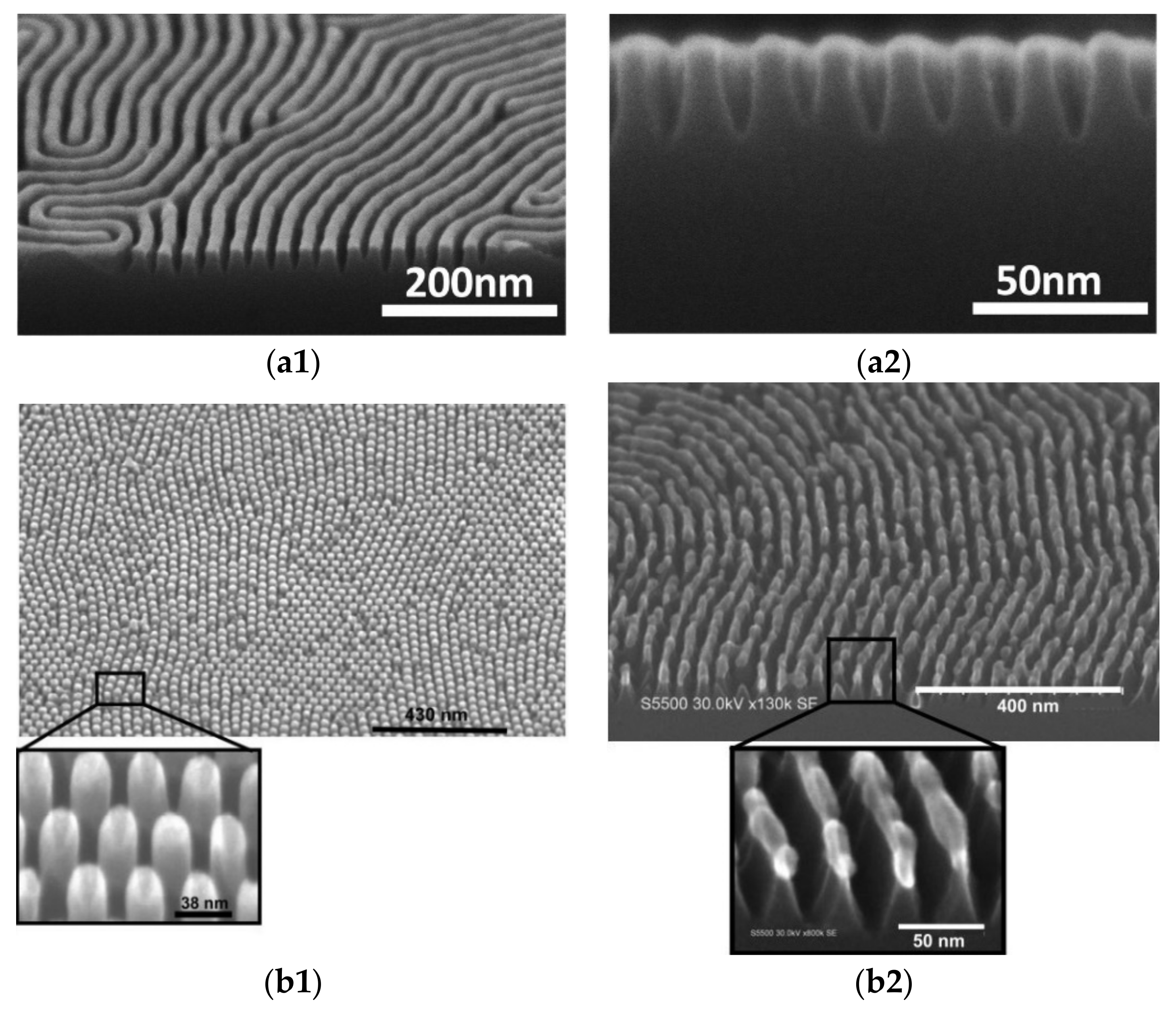 Polymers 13 01346 g020