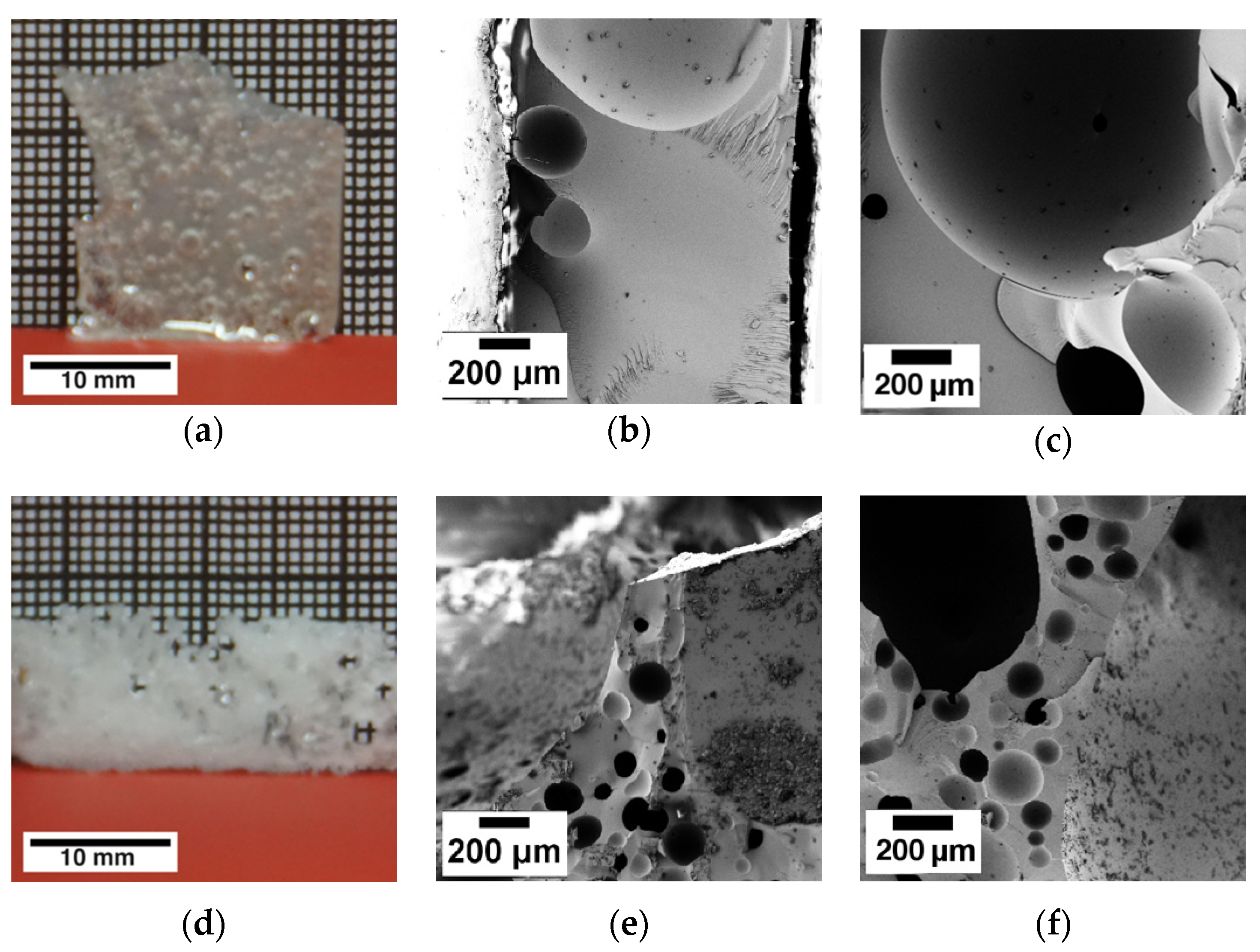 Polymers Free Full Text Tailoring Epoxy Resin Foams By Pre Curing With Neat Amine Hardeners And Its Derived Carbamates Html