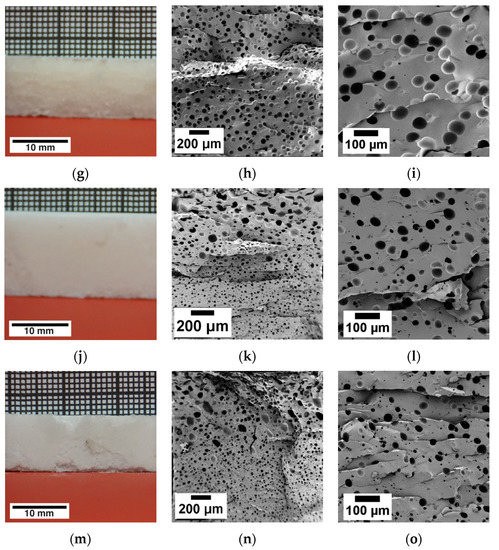 Polymers Free Full Text Tailoring Epoxy Resin Foams By Pre Curing With Neat Amine Hardeners And Its Derived Carbamates Html