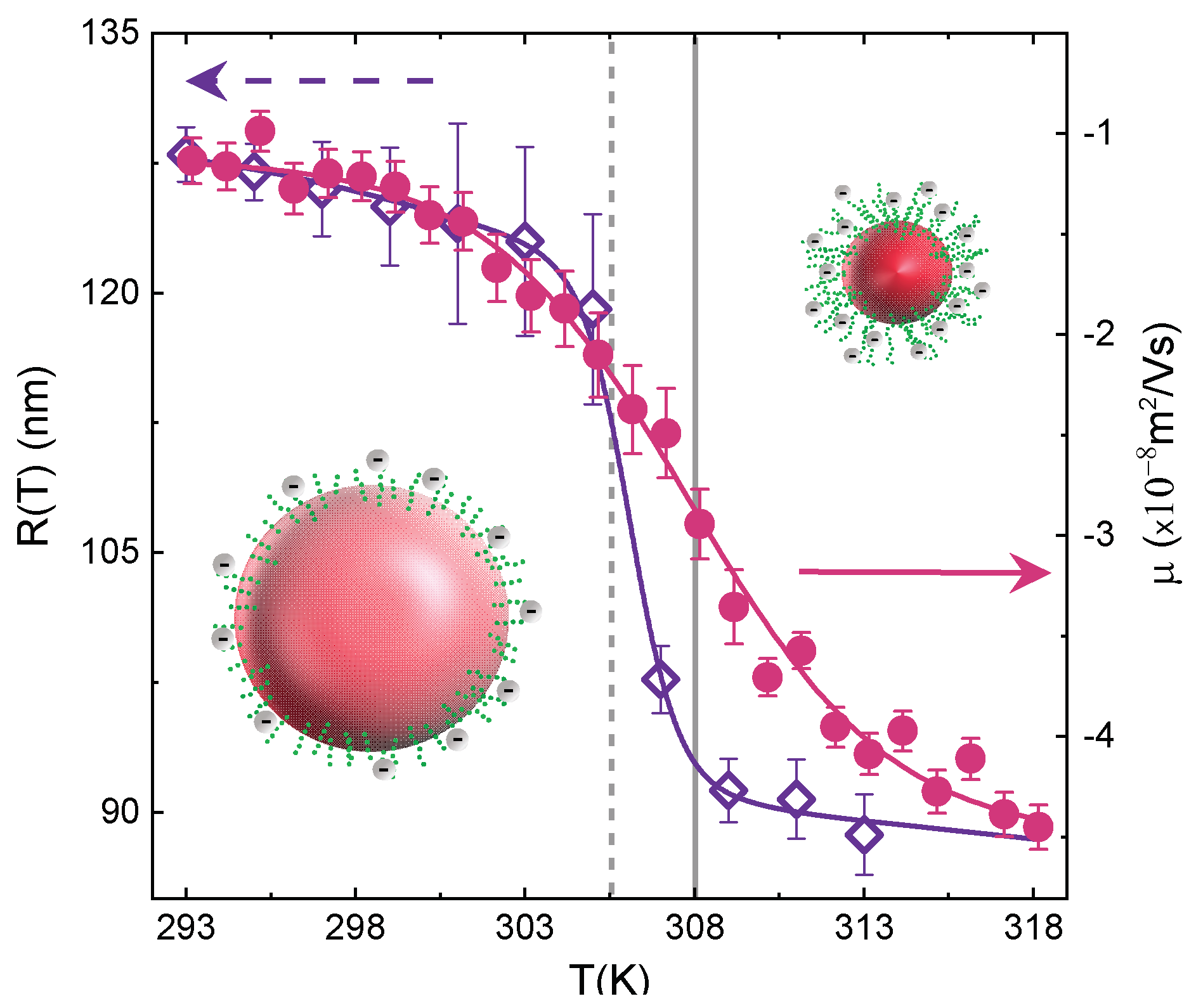 Polymers 13 01353 g013