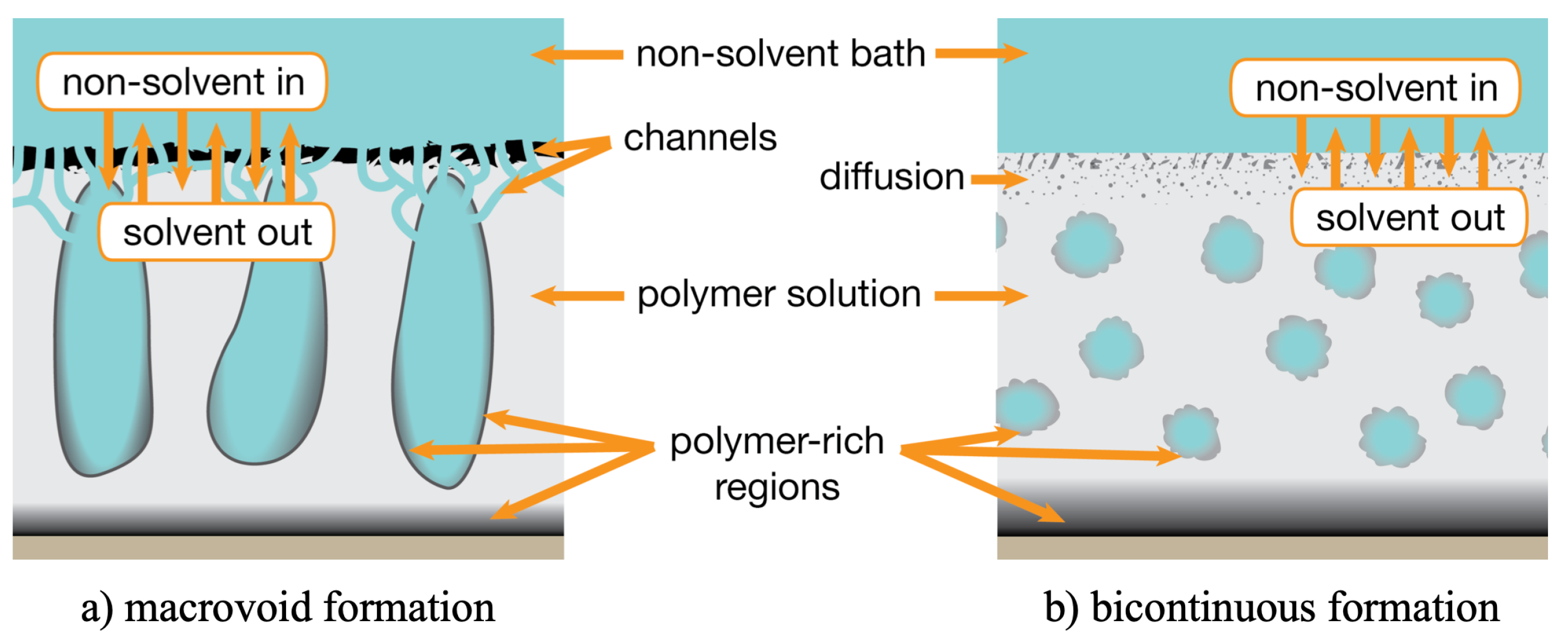 Polymers 13 01354 g006 Polymers 13 01354 g006