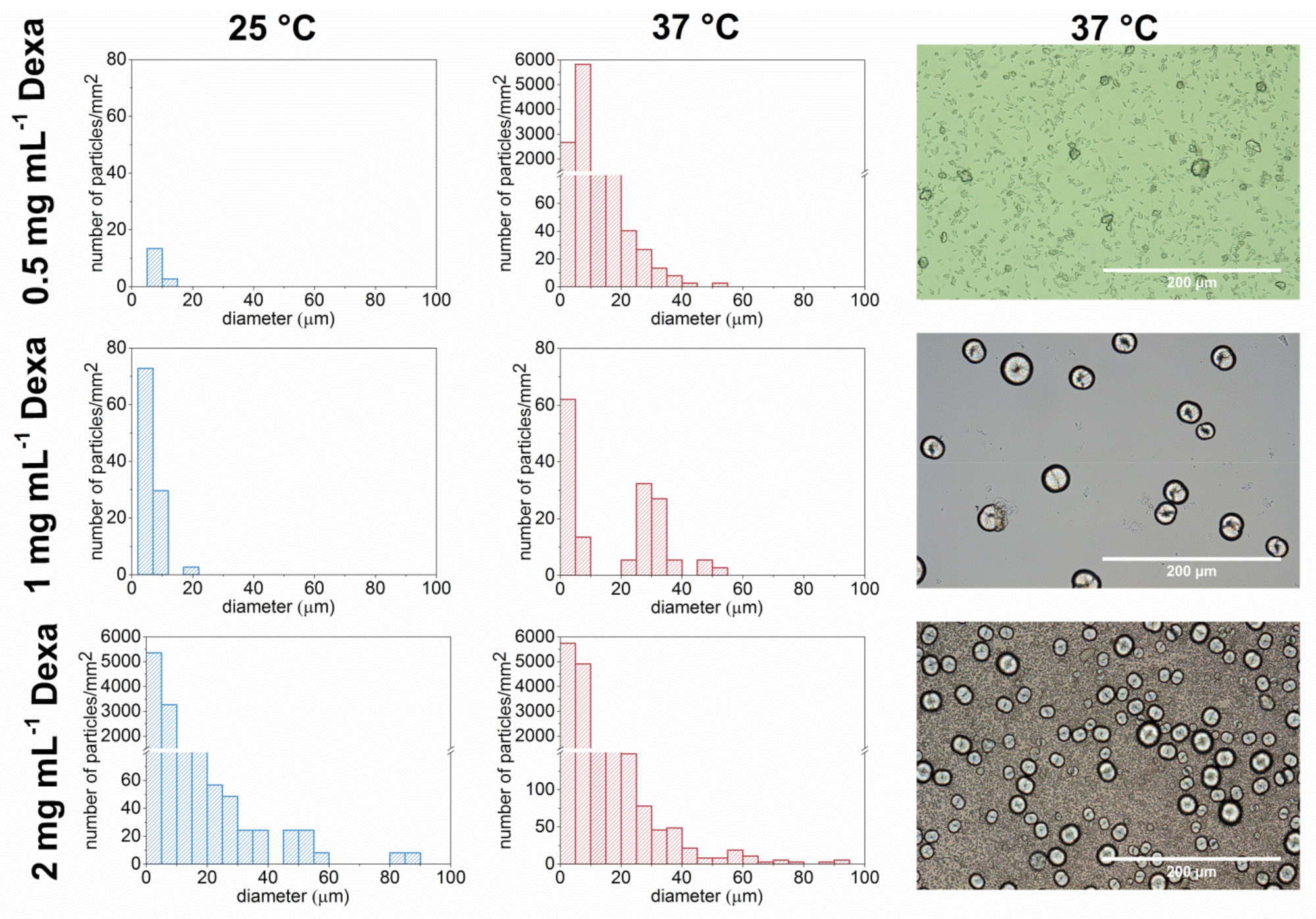Polymers 13 01357 g004 Polymers 13 01357 g004