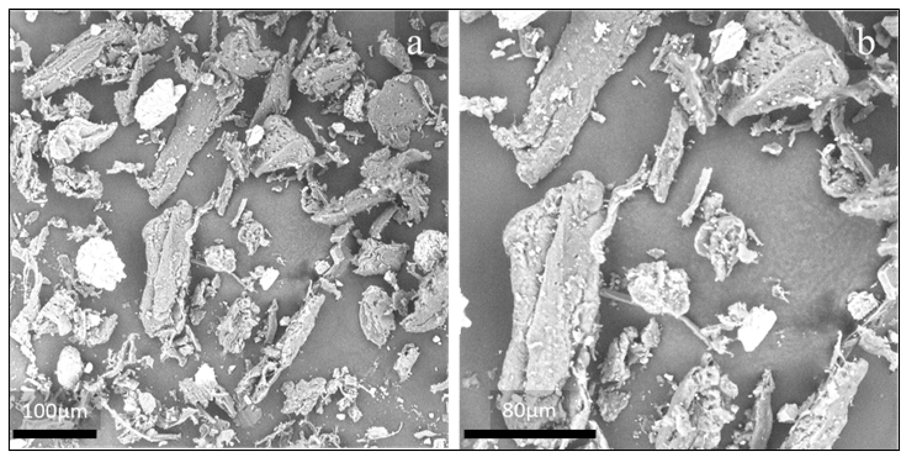 Polymers 13 01361 g005