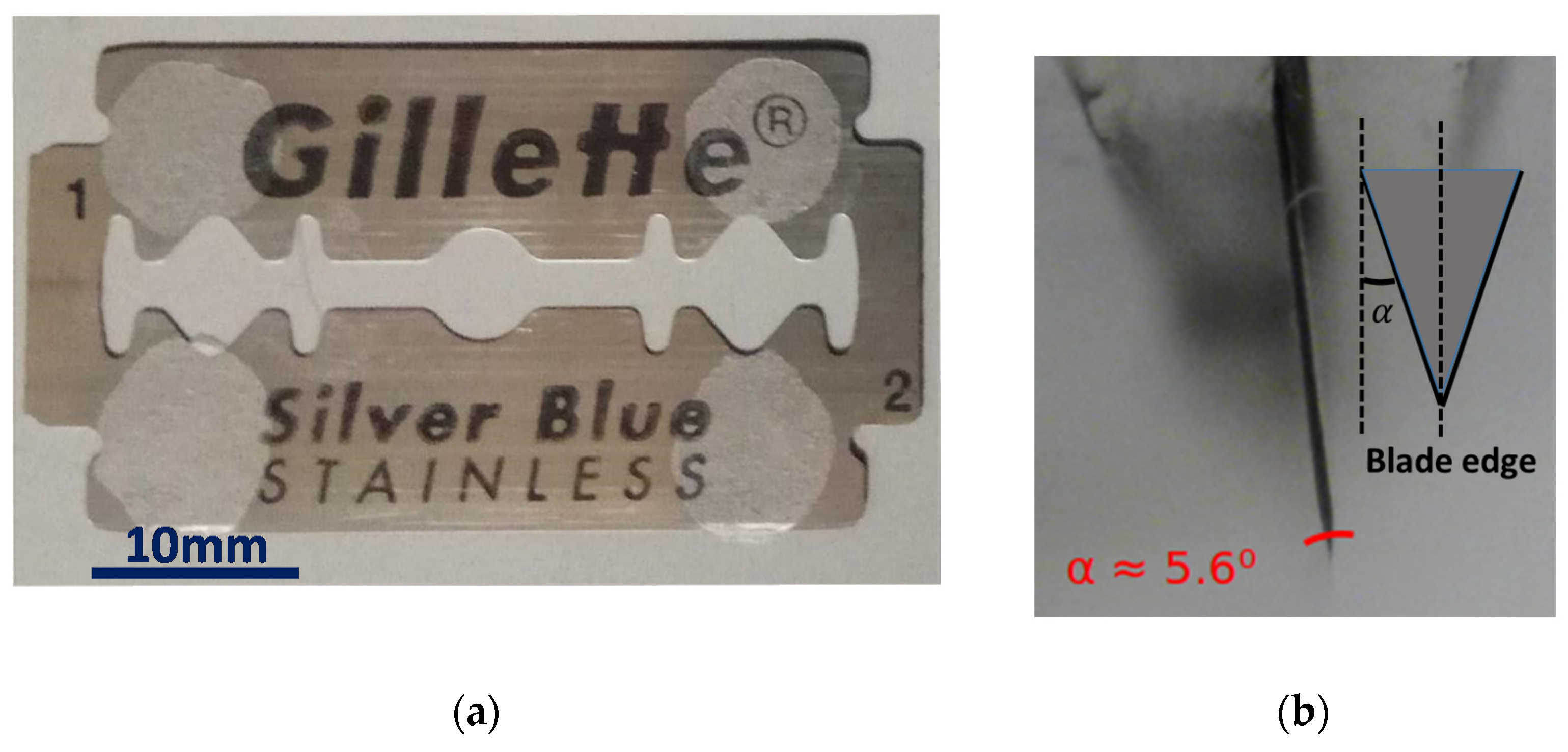 Polymers 13 01366 g002