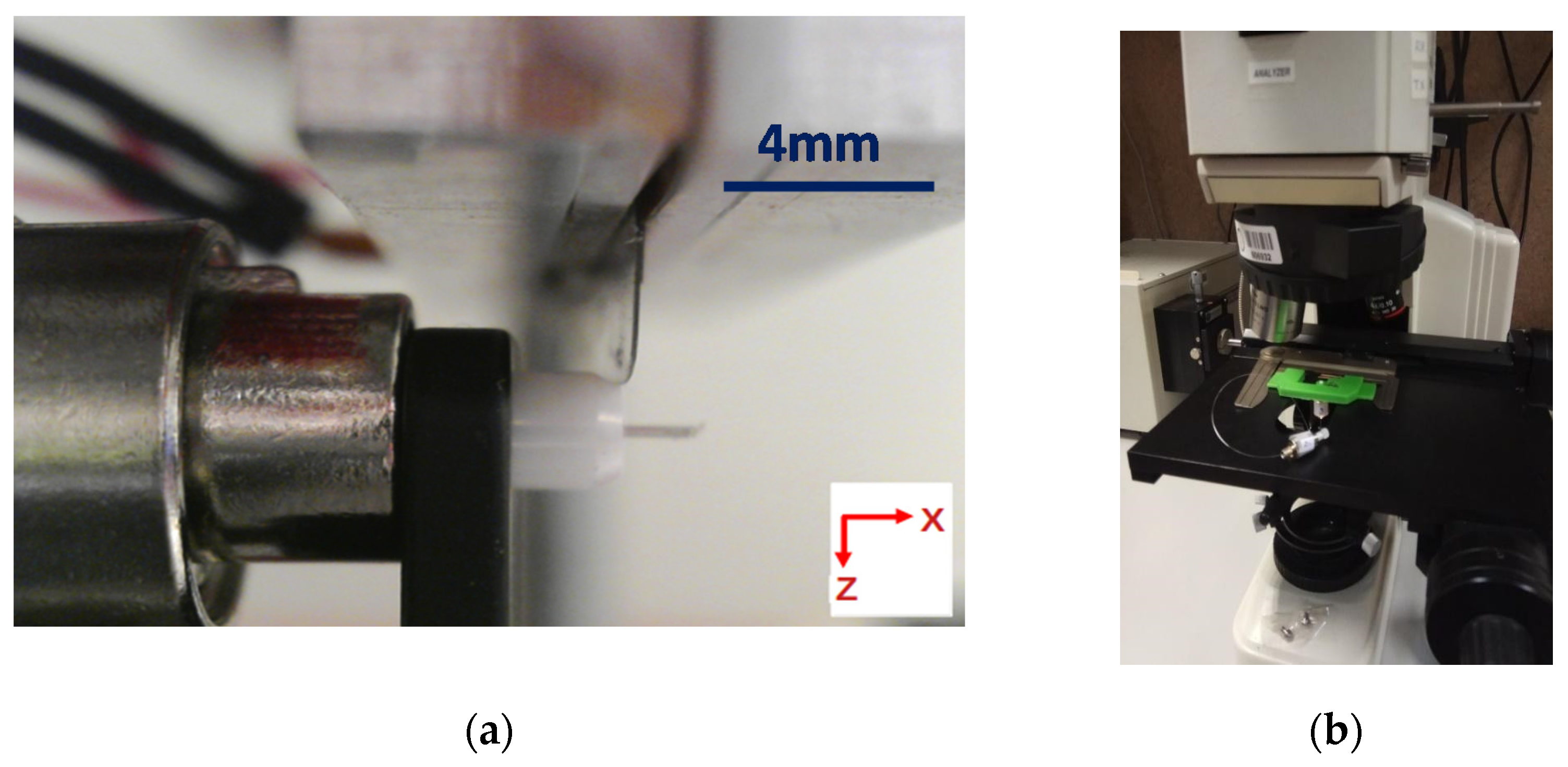 Polymers 13 01366 g003