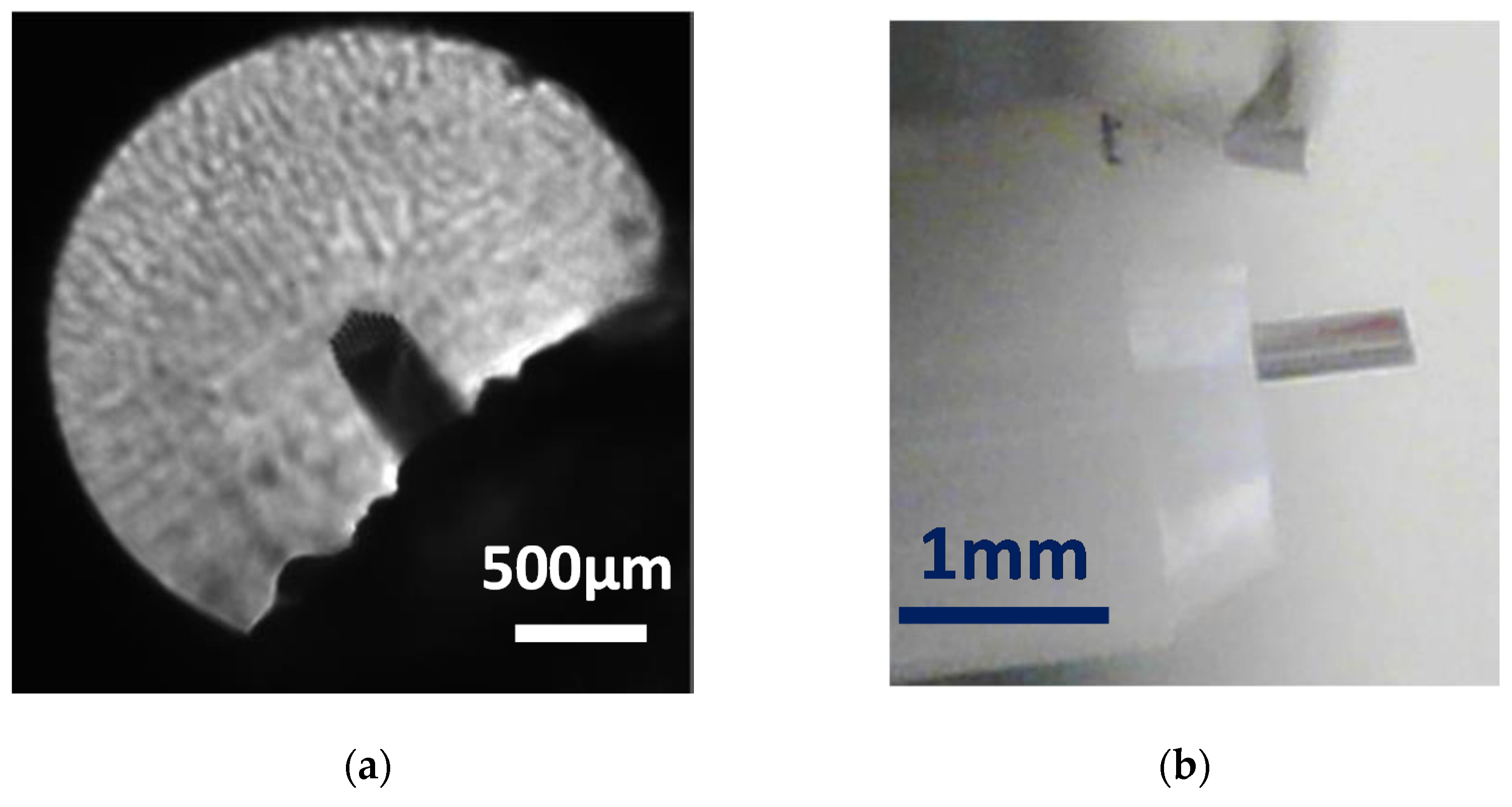 Polymers 13 01366 g005