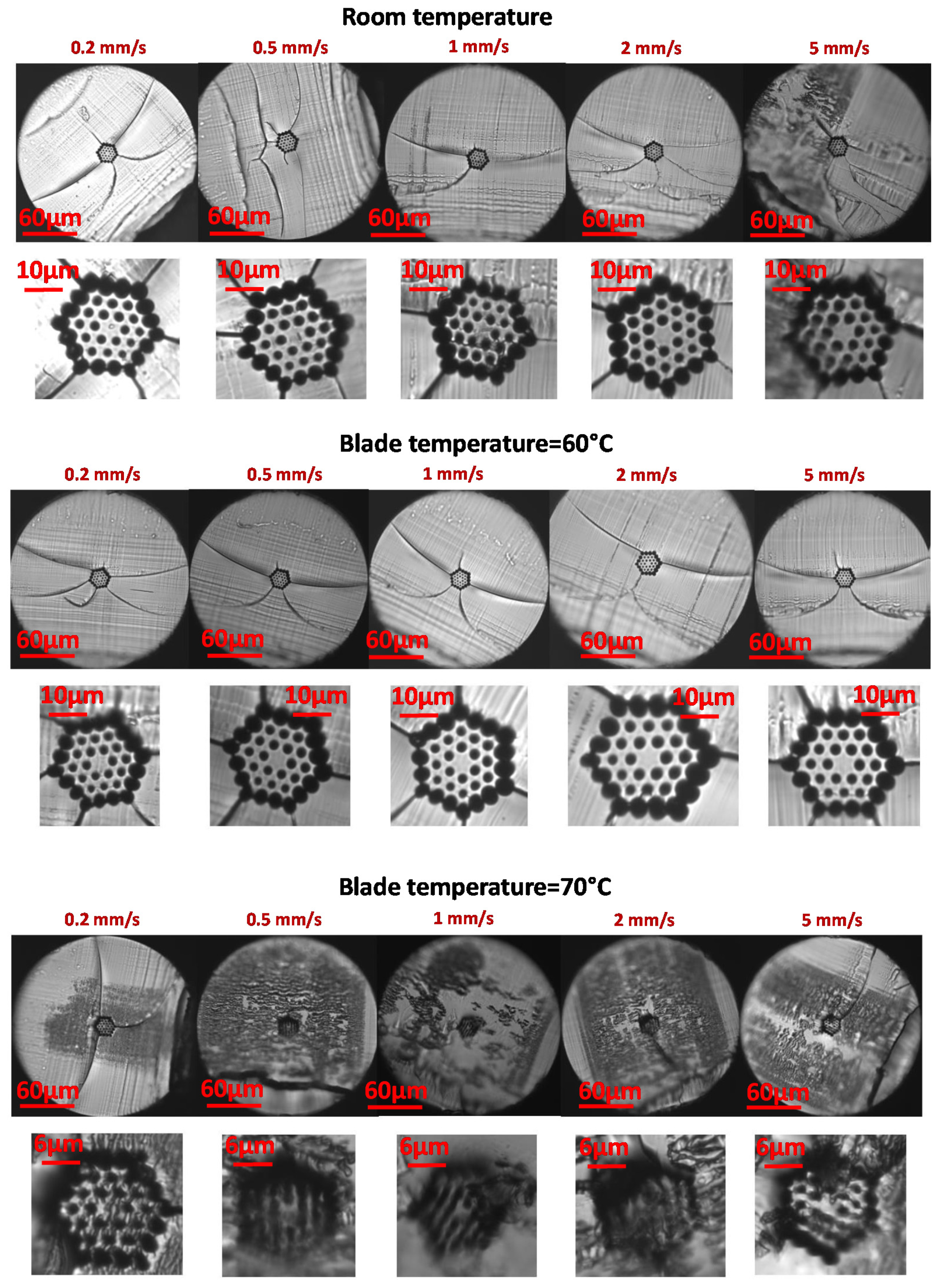 Polymers 13 01366 g006a