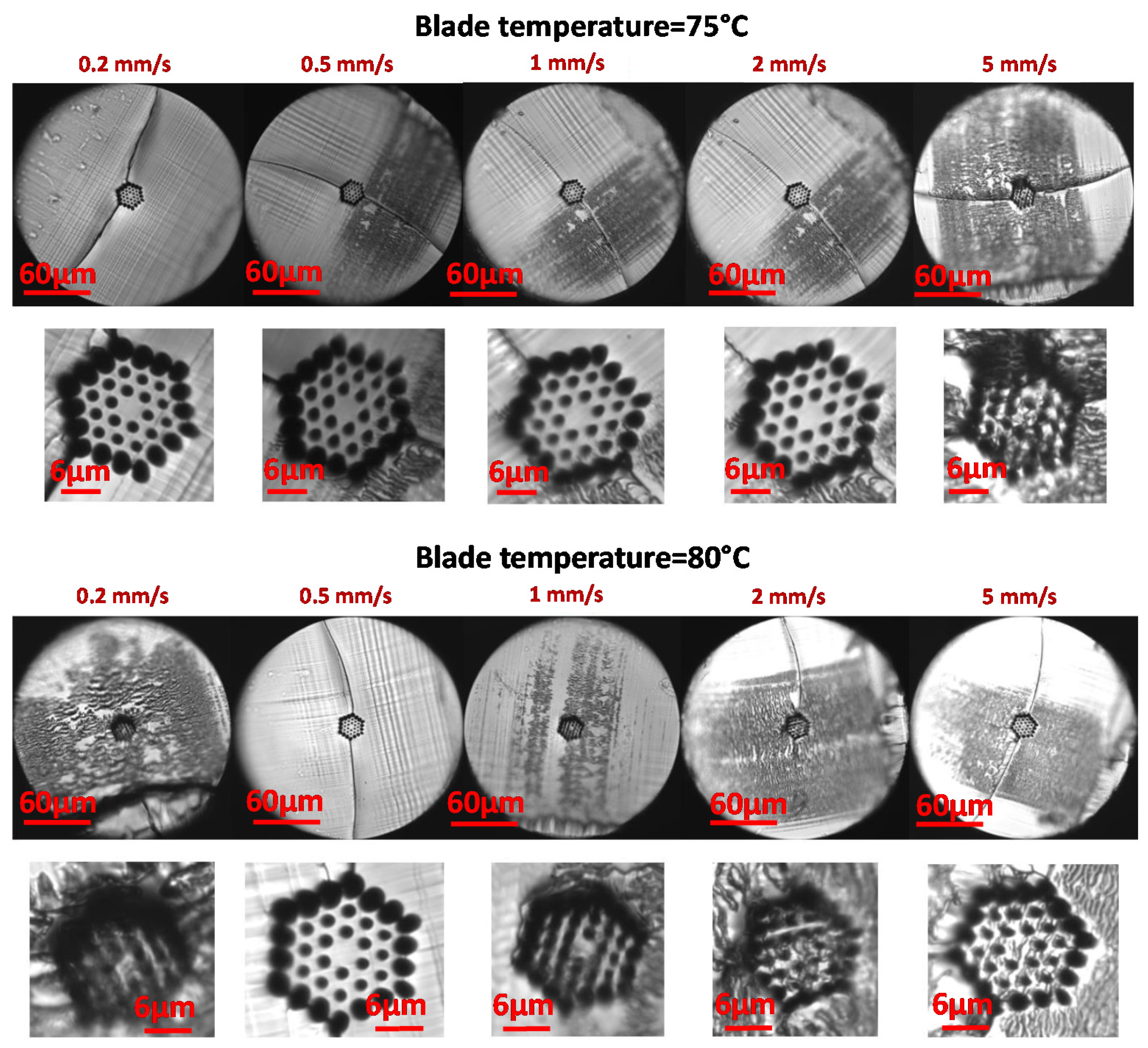 Polymers 13 01366 g006b