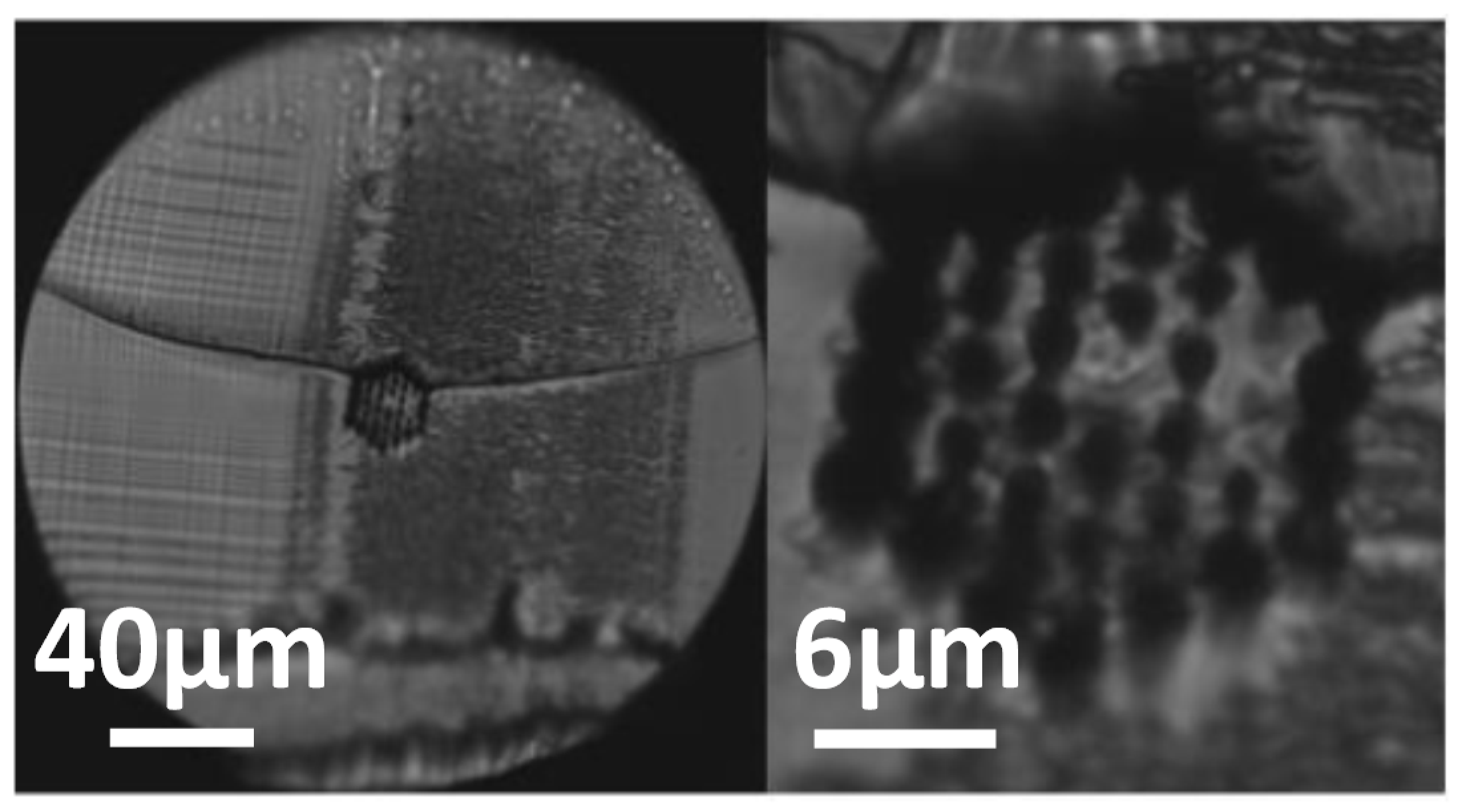 Polymers 13 01366 g008