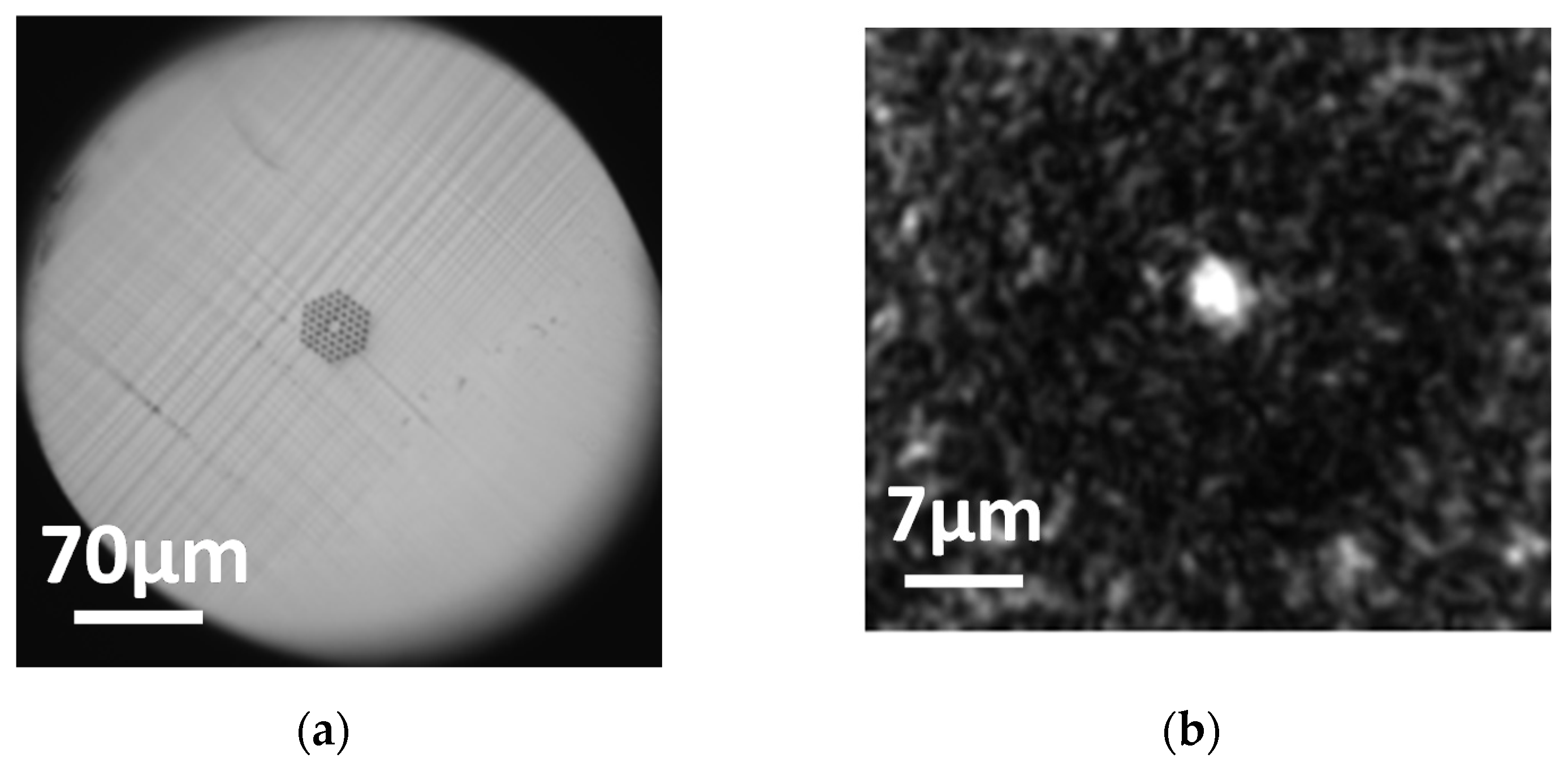 Polymers 13 01366 g011
