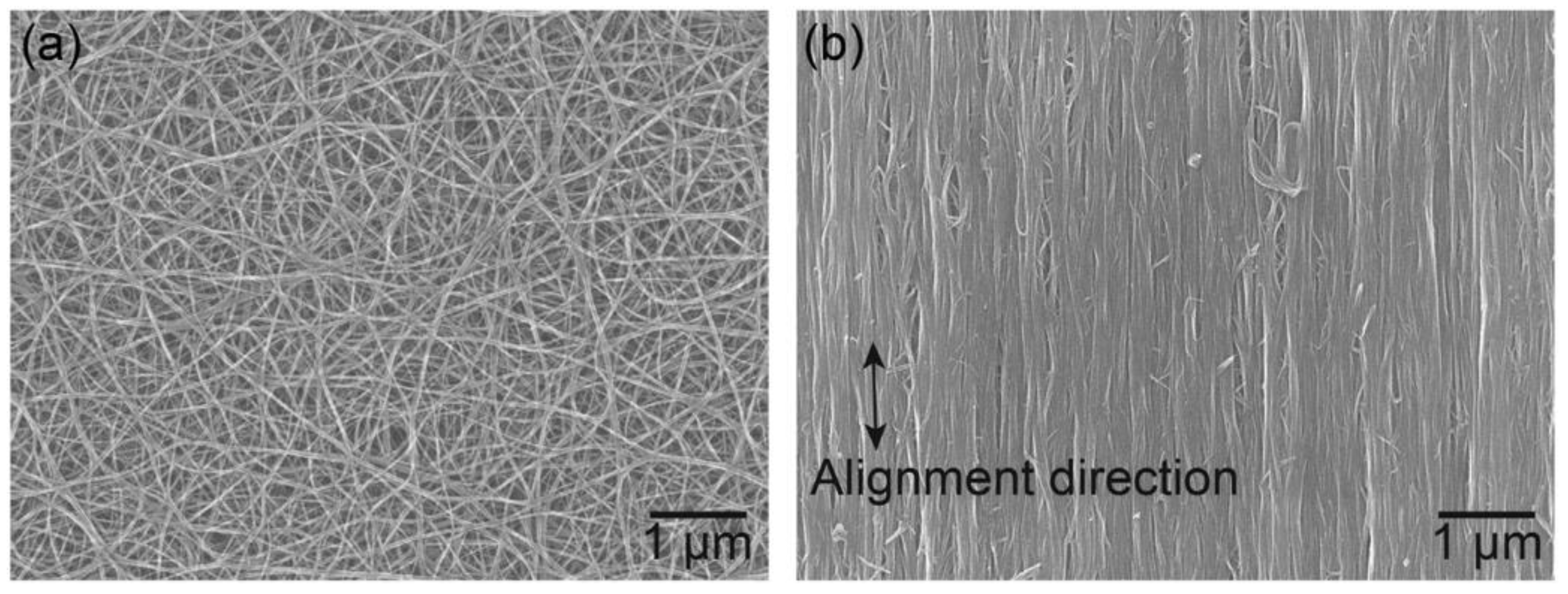 Polymers 13 01370 g035