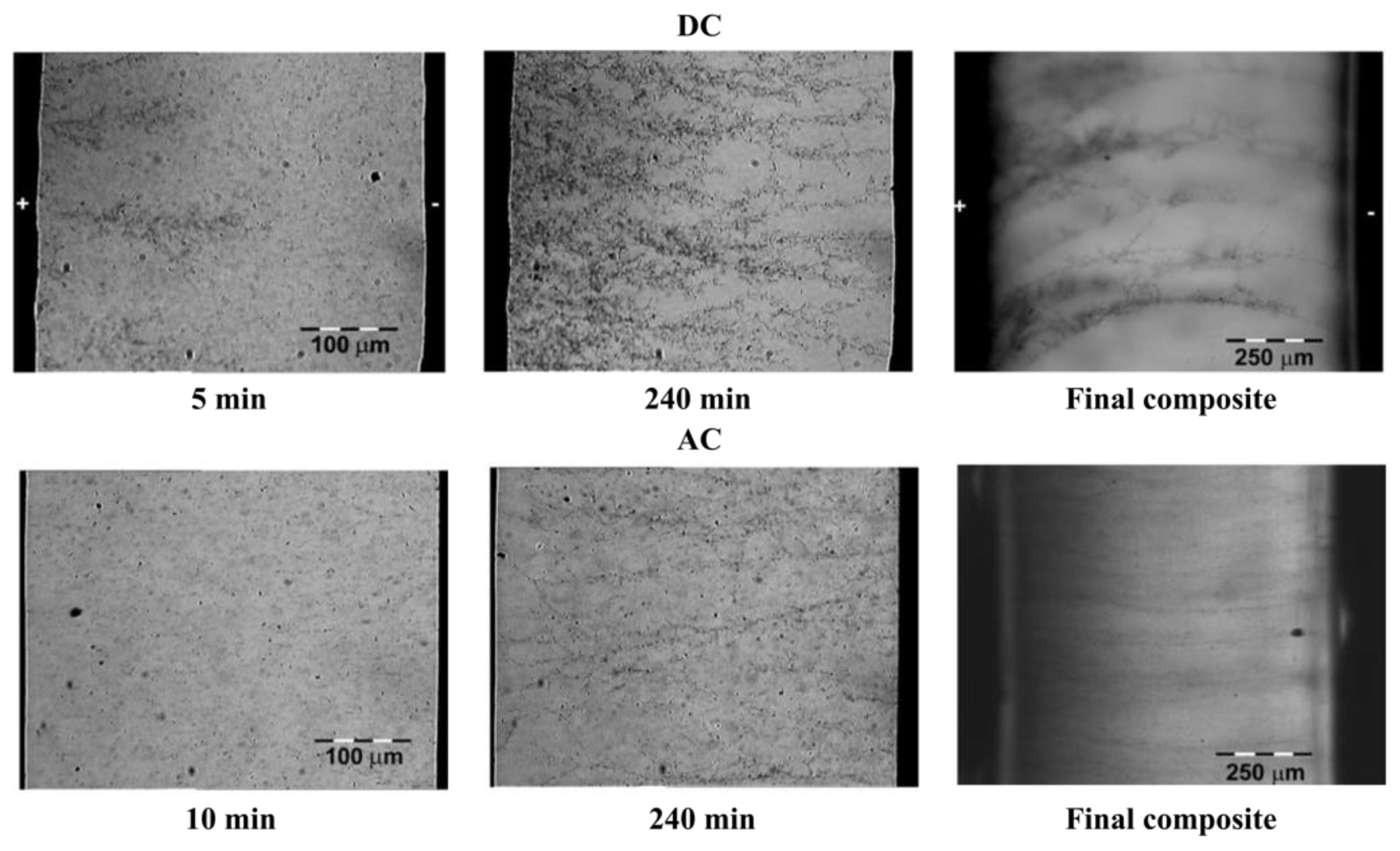 Polymers 13 01370 g039
