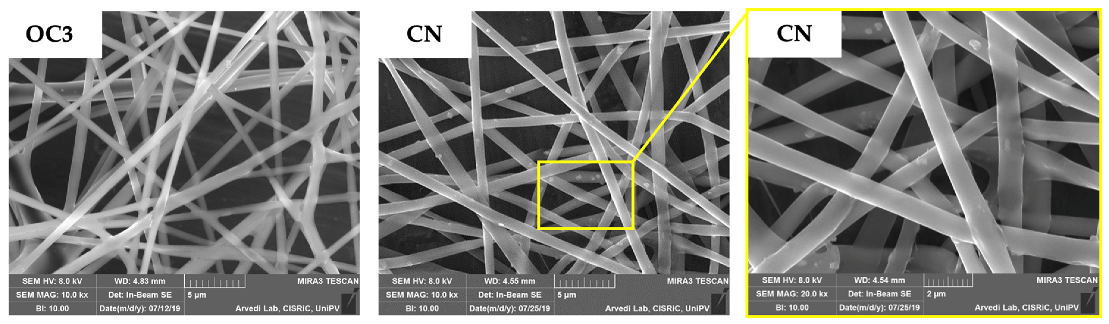 Polymers 13 01371 g008 Polymers 13 01371 g008