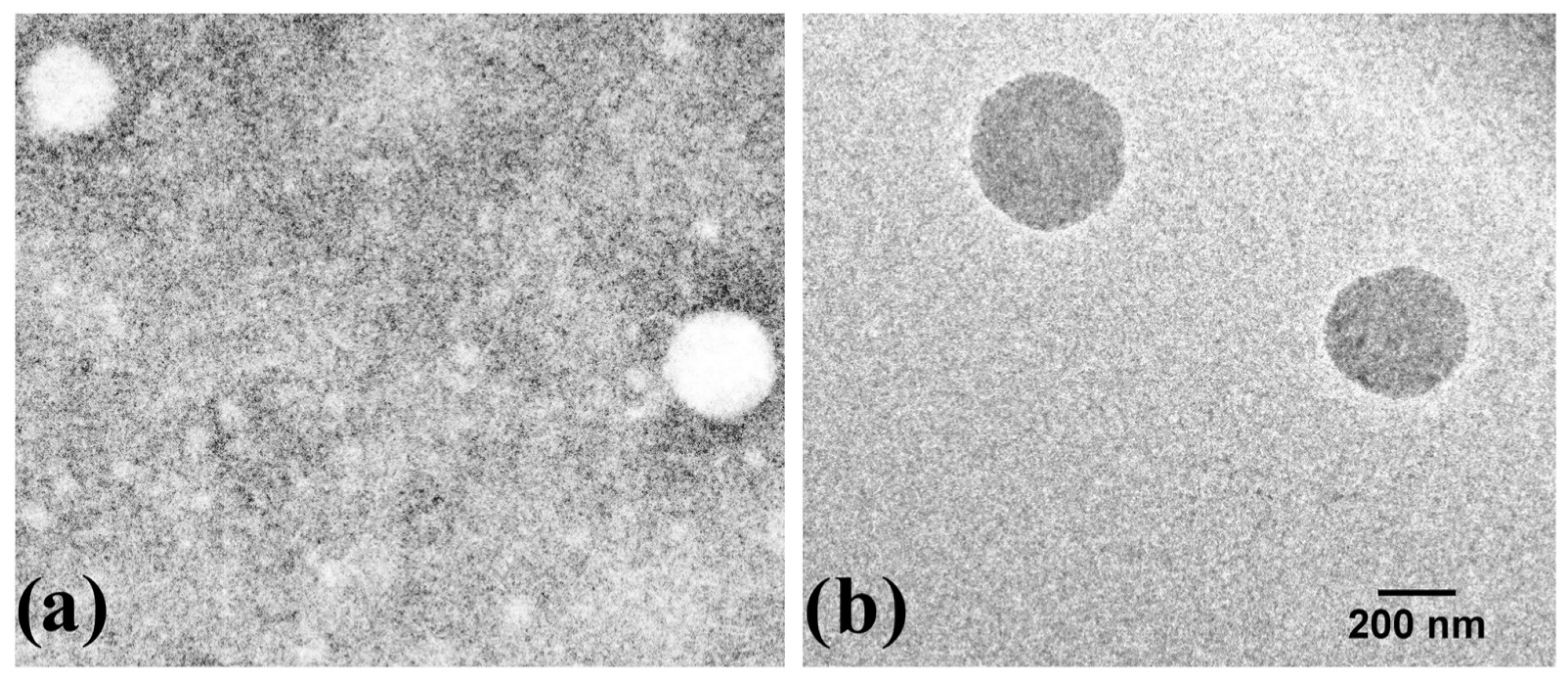 Polymers 13 01375 g002 Polymers 13 01375 g002