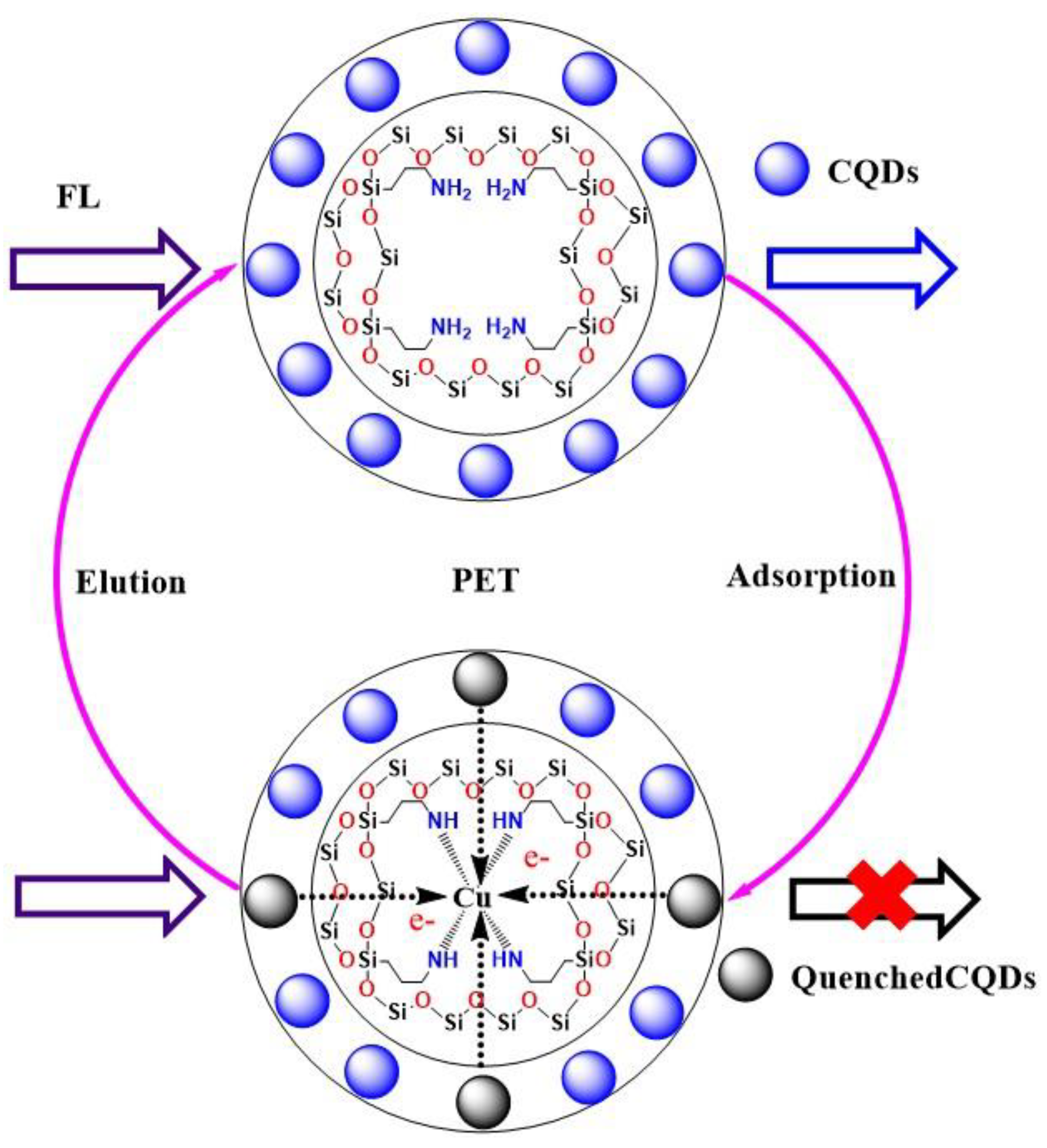 Polymers 13 01376 g013 Polymers 13 01376 g013