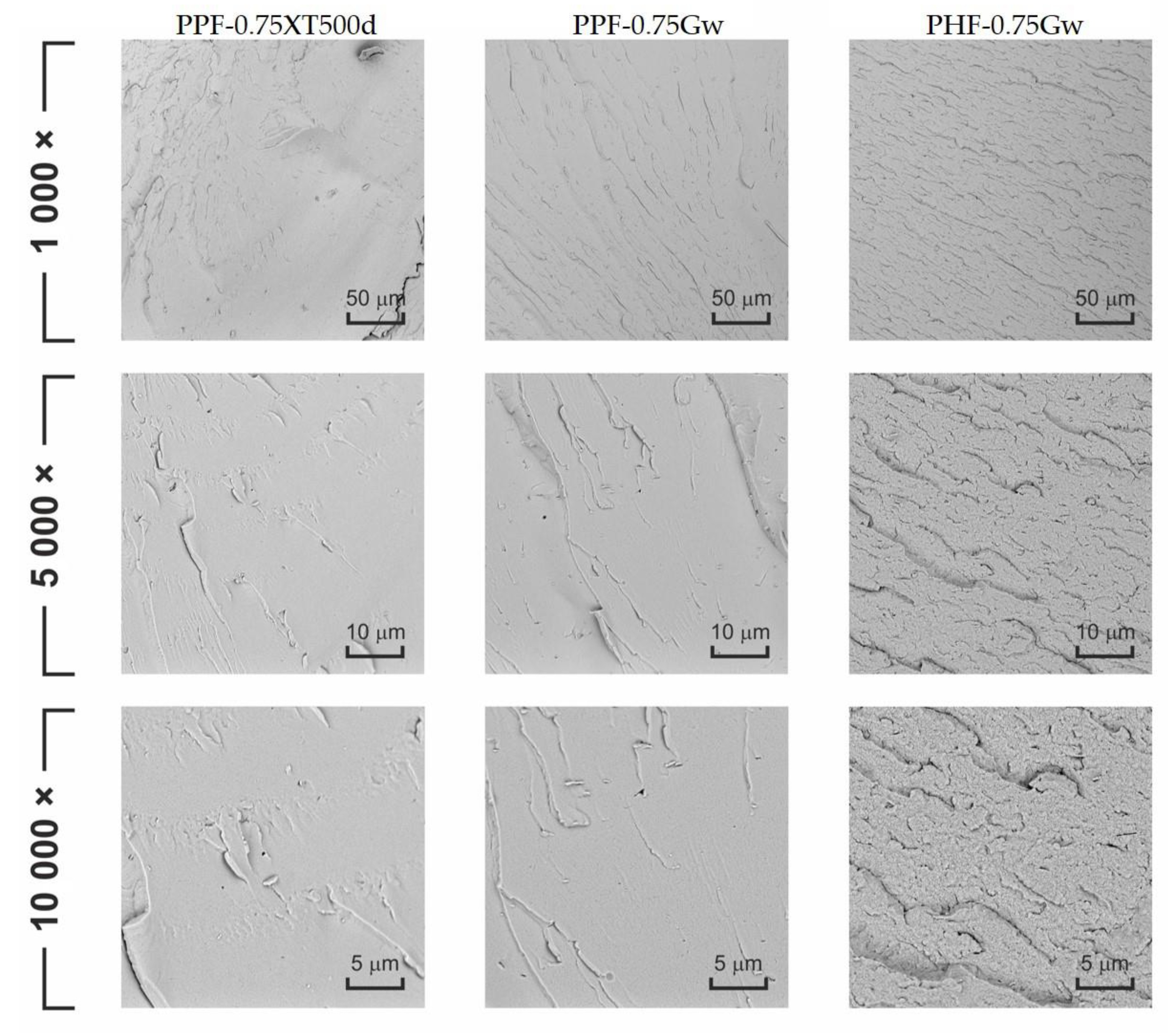 Polymers 13 01377 g011 Polymers 13 01377 g011