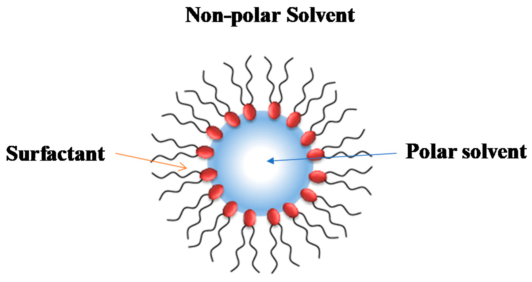 Polymers 13 01378 sch001