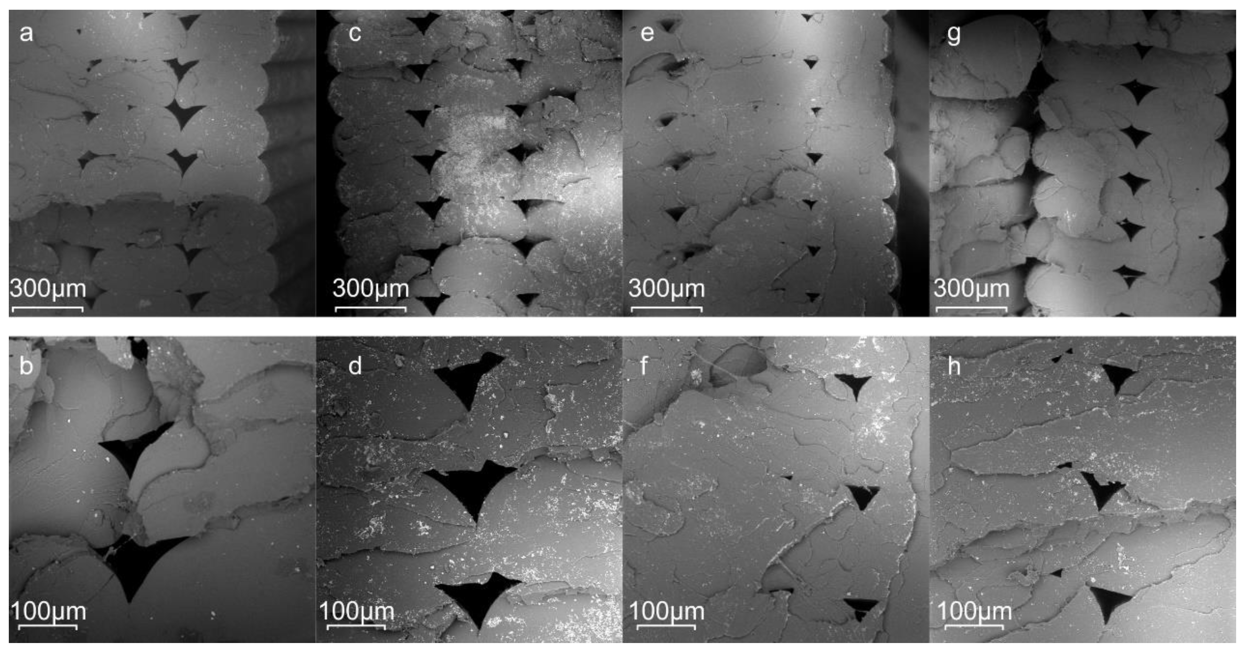 Polymers 13 01381 g008 Polymers 13 01381 g008