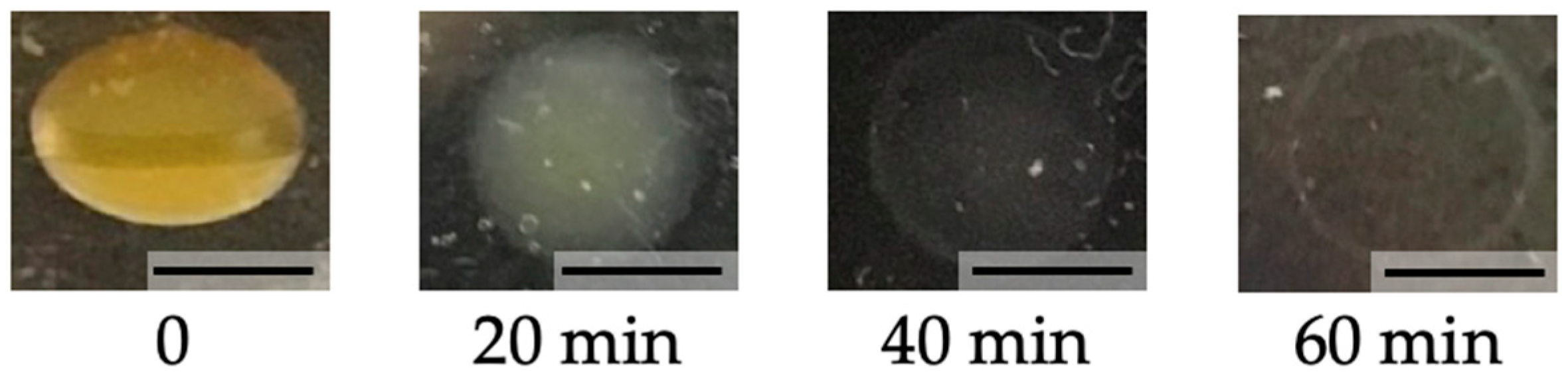 Polymers 13 01382 g007