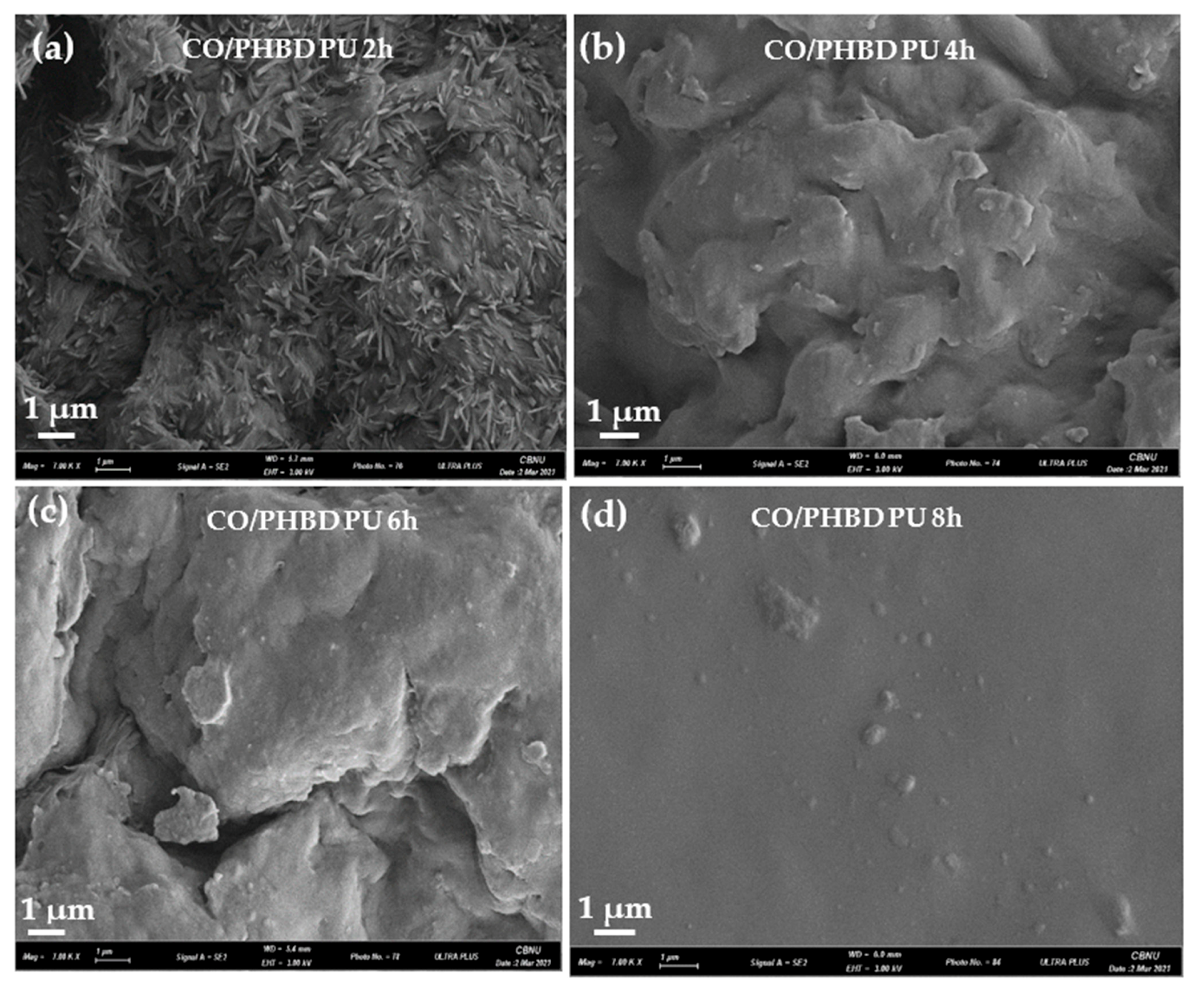 Polymers 13 01387 g007