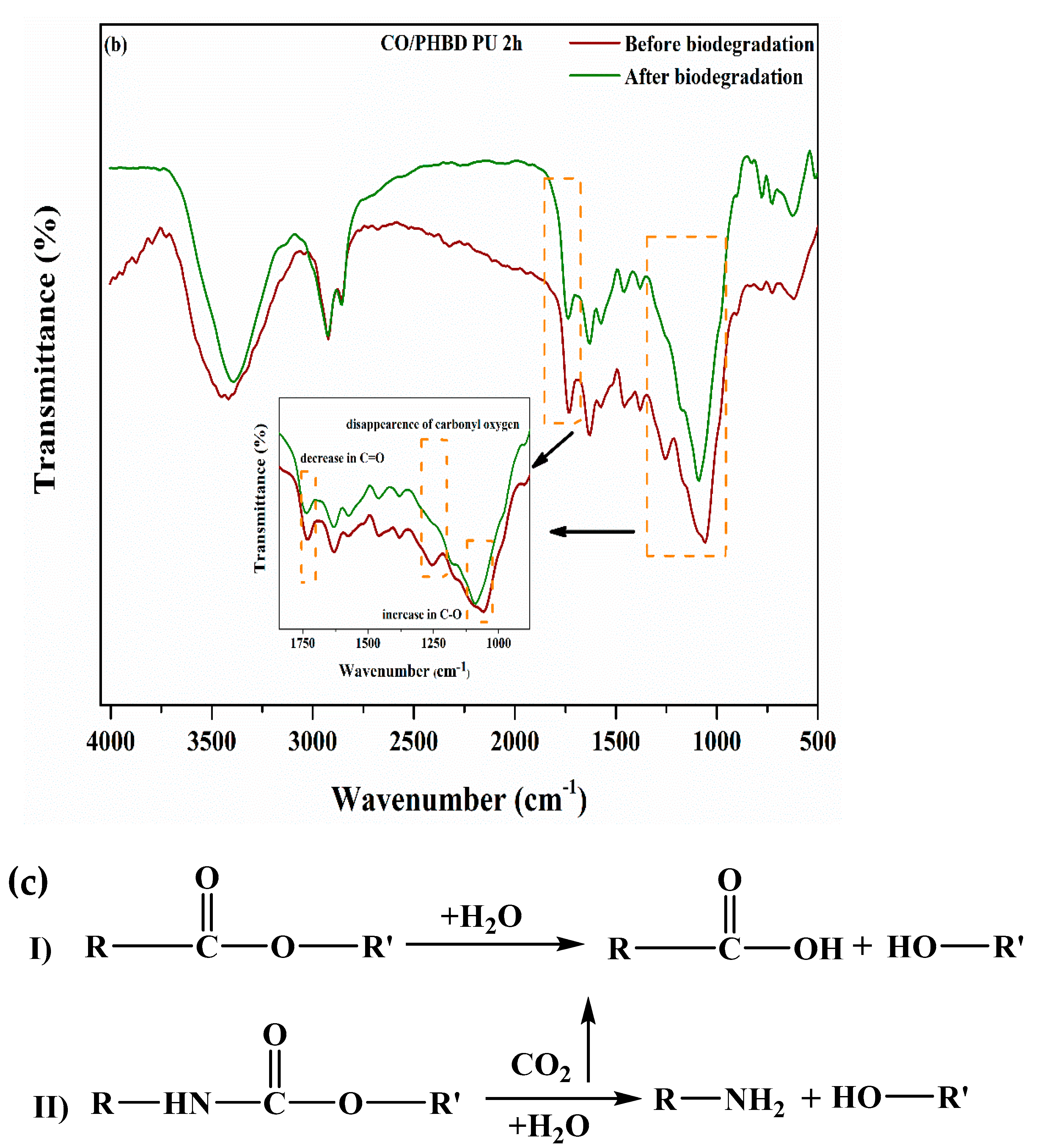 Polymers 13 01387 g010b