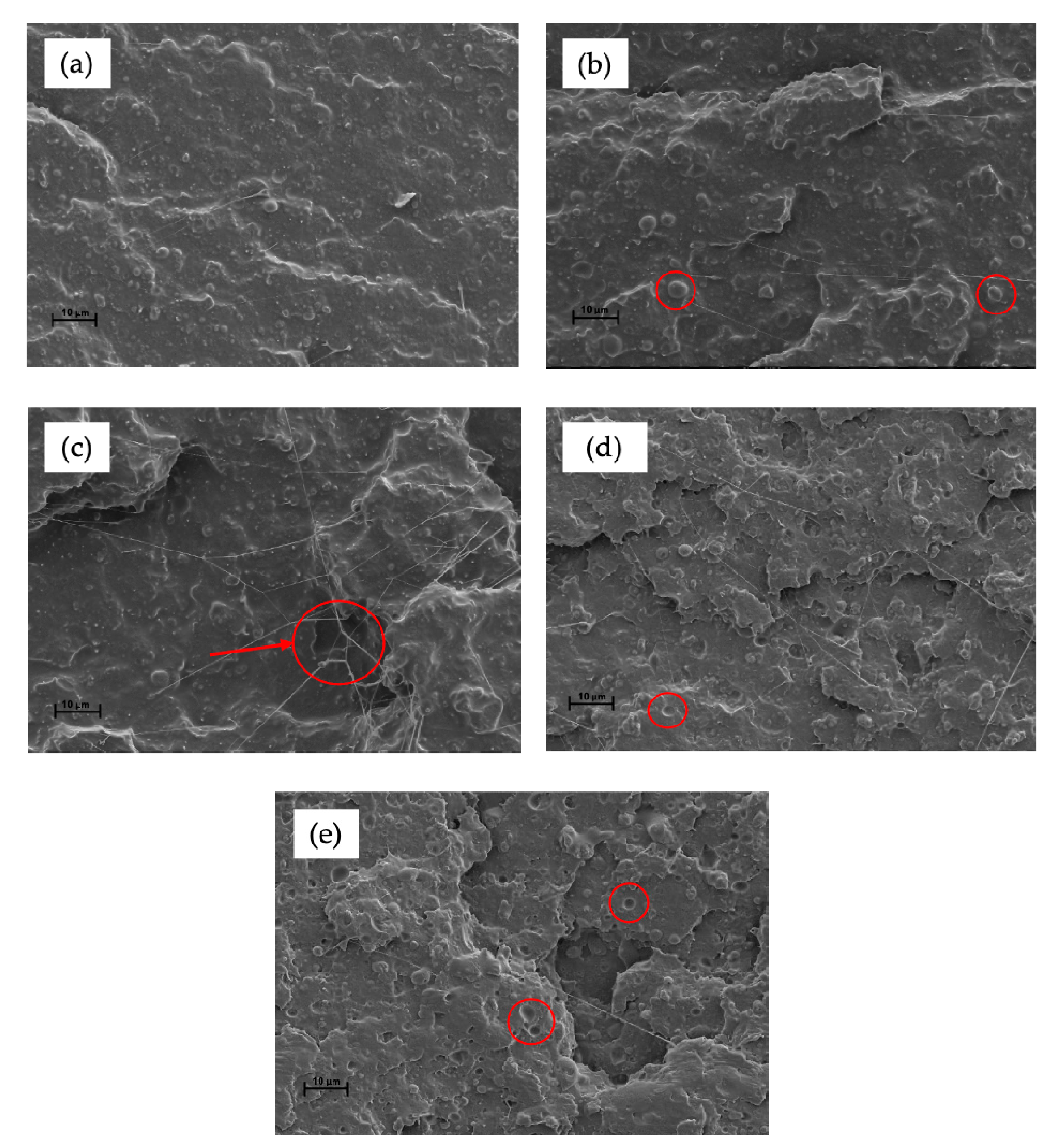 Polymers 13 01392 g004