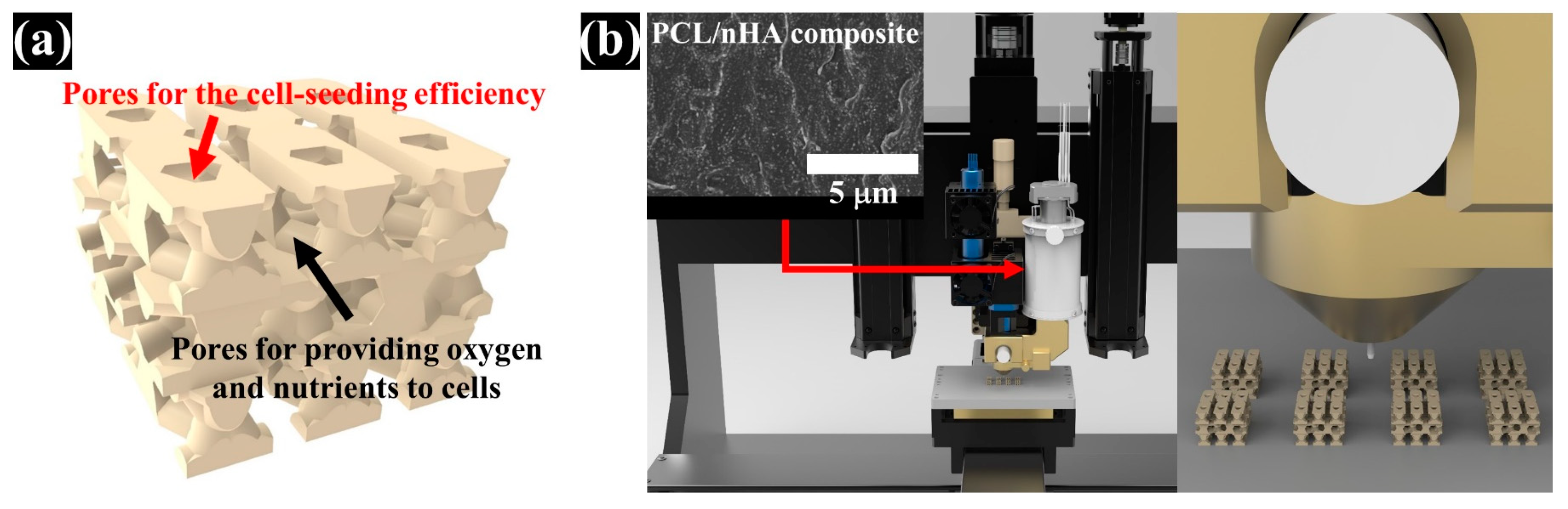 Polymers 13 01394 g001