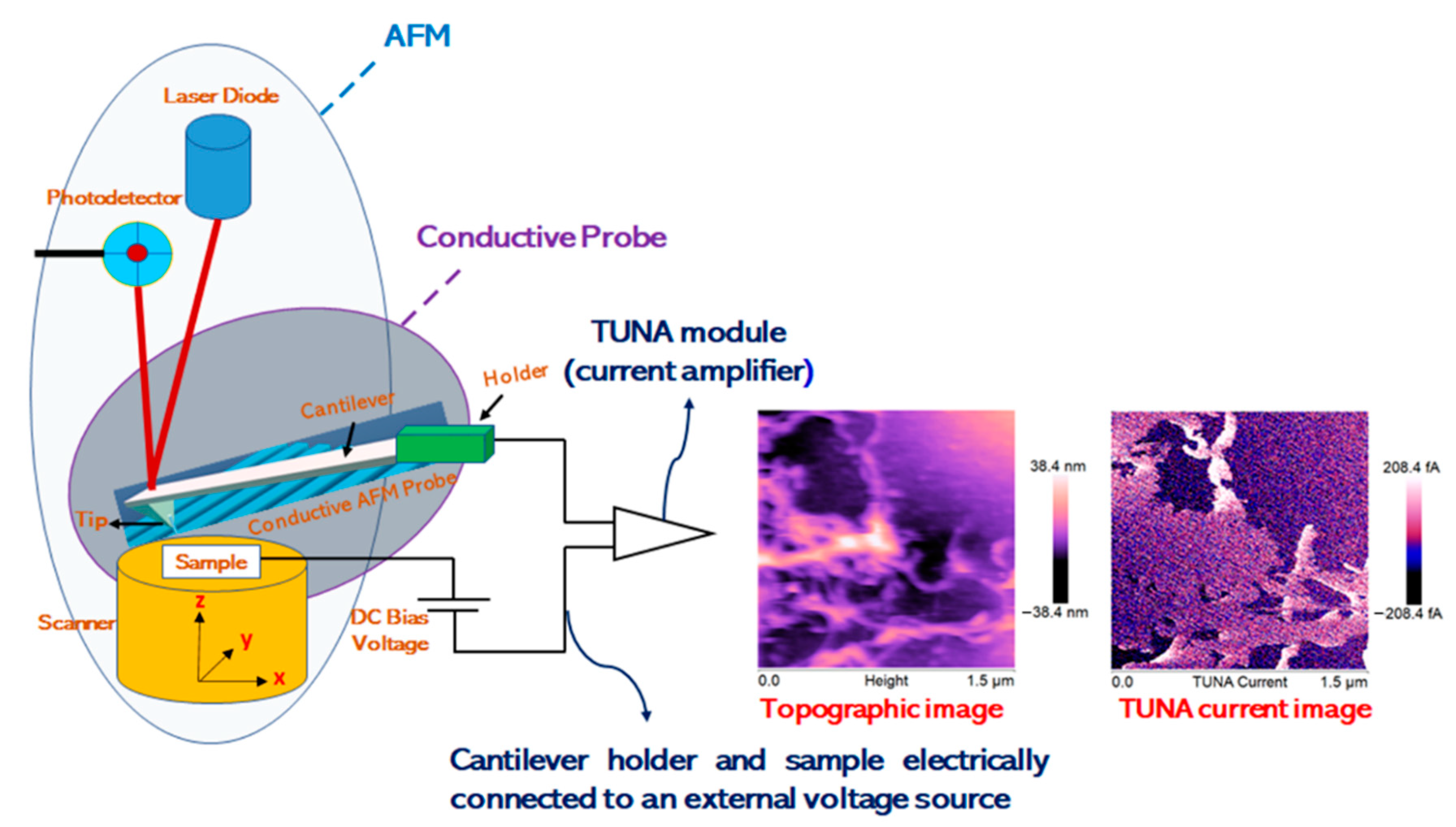 Polymers 13 01401 g002 Polymers 13 01401 g002