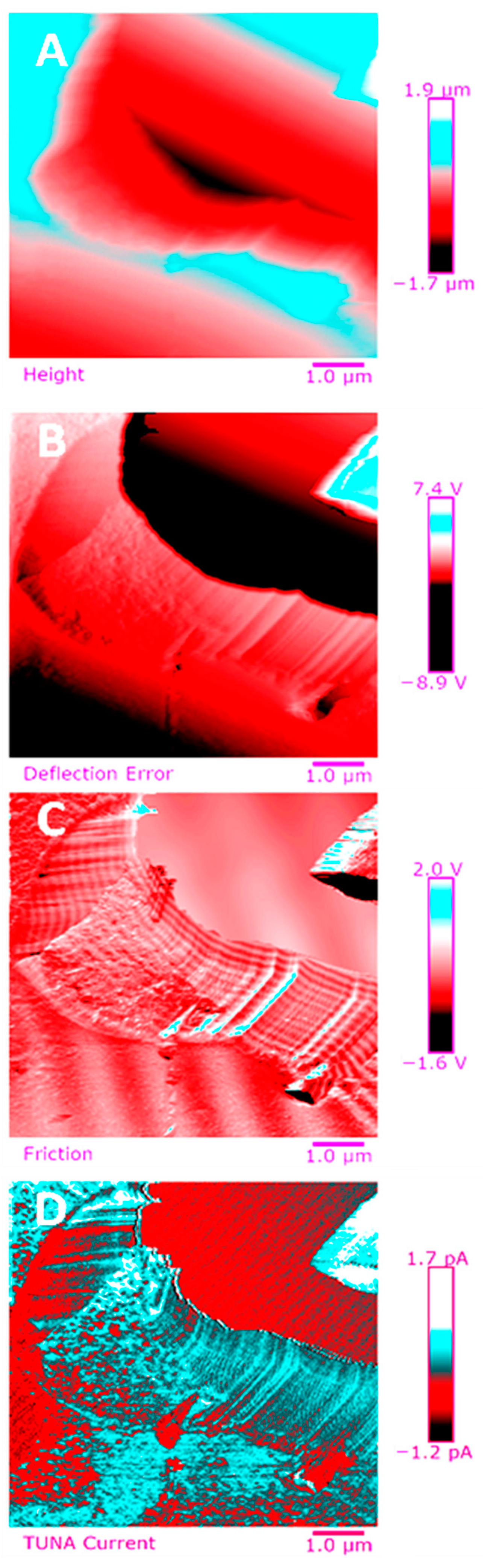 Polymers 13 01401 g014 Polymers 13 01401 g014