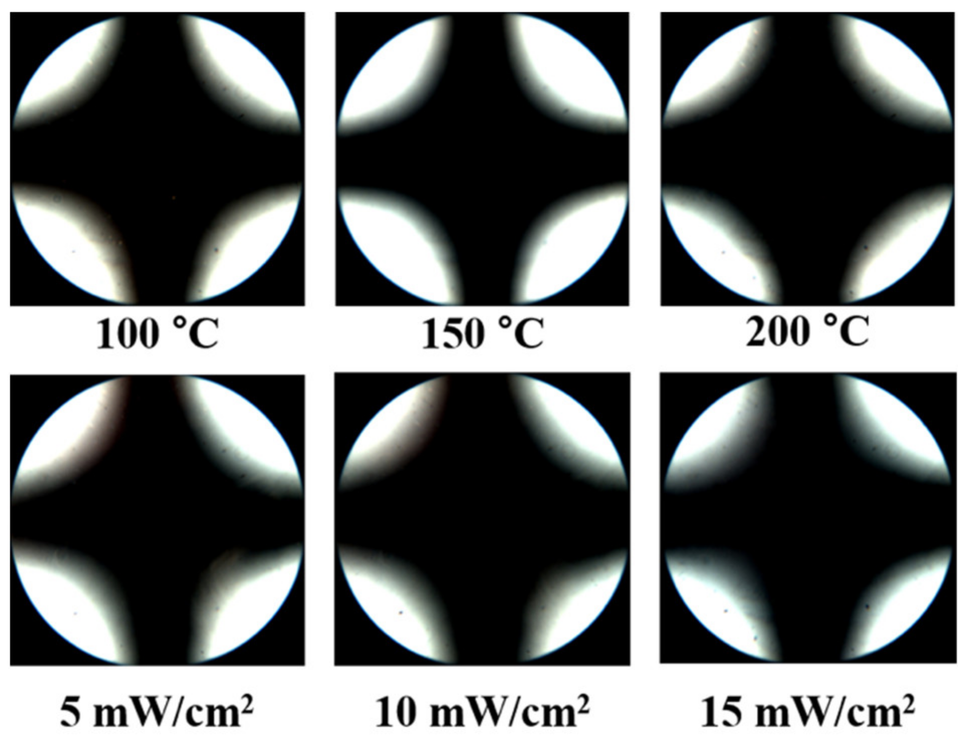 Polymers 13 01404 g007 550