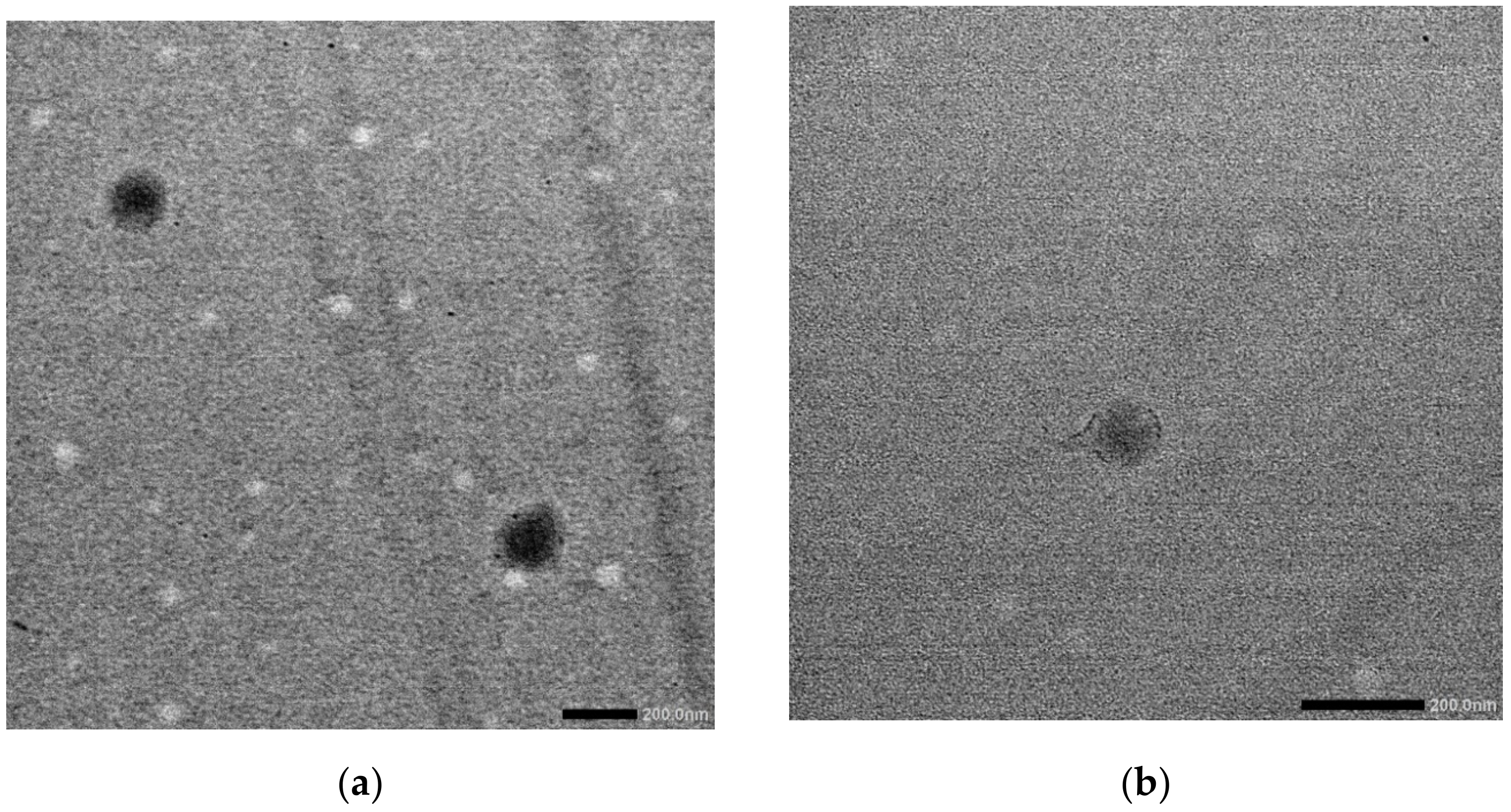 Polymers 13 01406 g002 Polymers 13 01406 g002