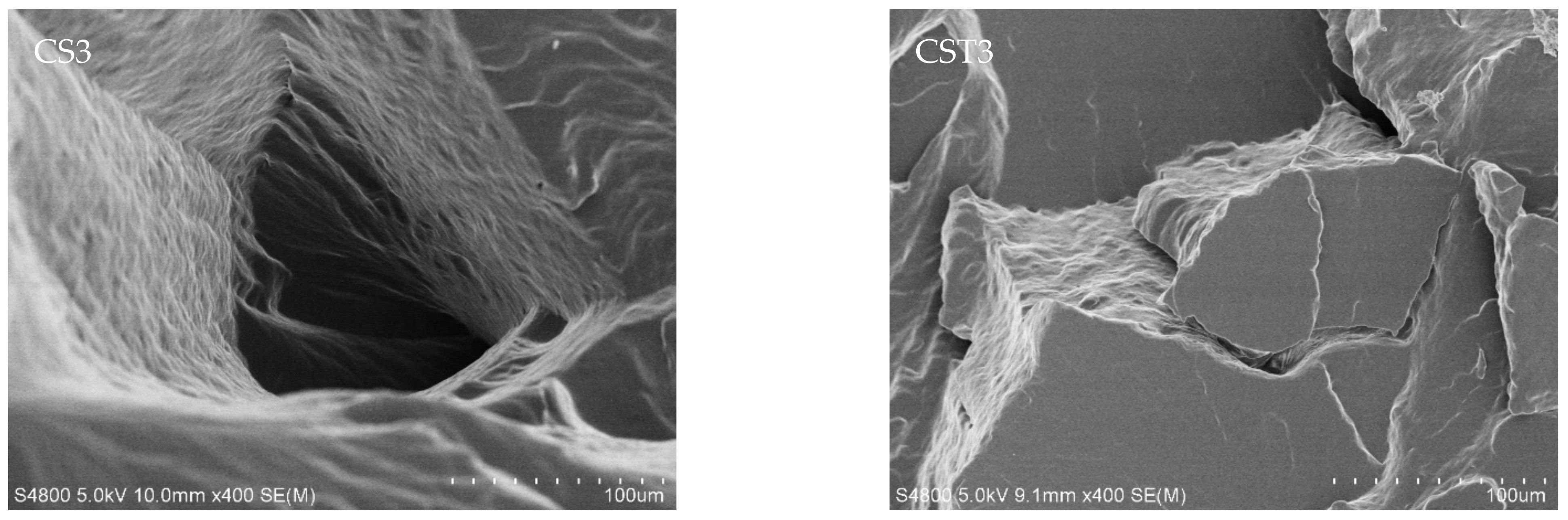 Polymers 13 01406 g008b Polymers 13 01406 g008b