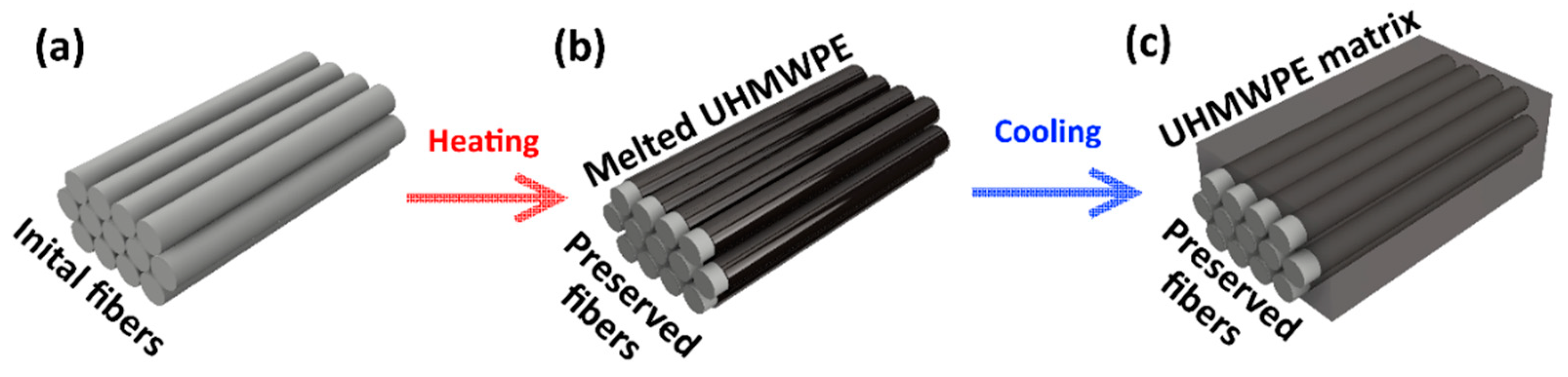 Polymers 13 01408 g002