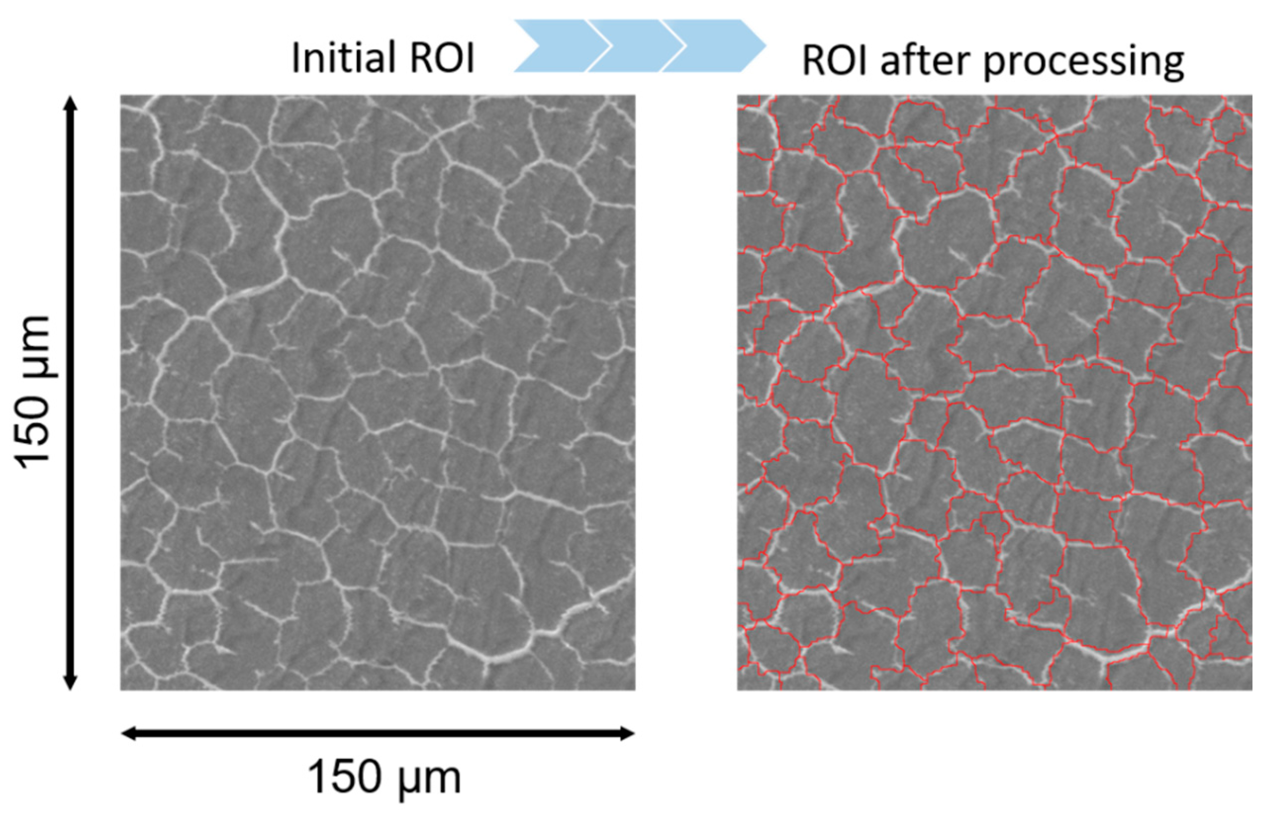 Polymers 13 01408 g003