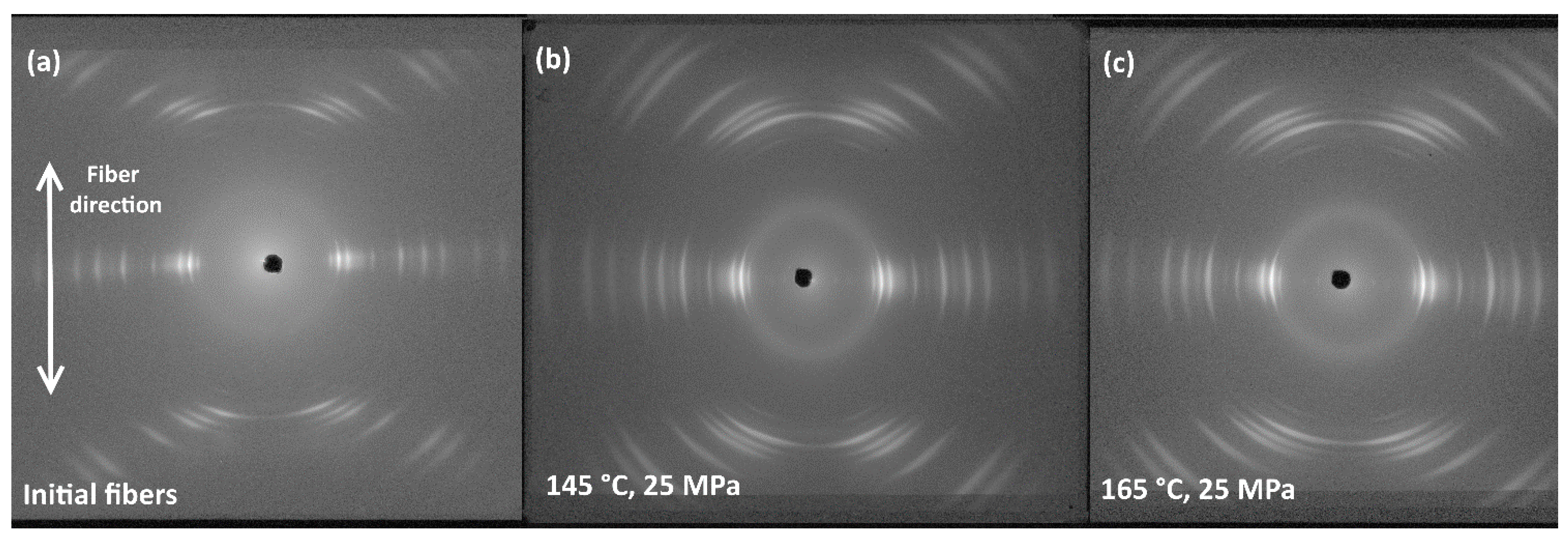 Polymers 13 01408 g006