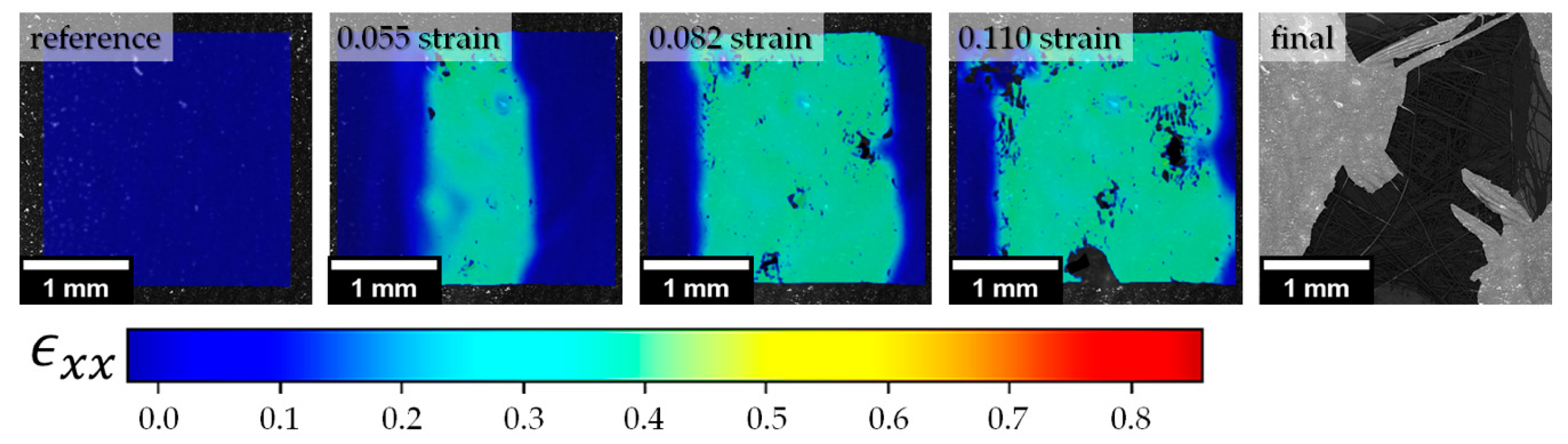 Polymers 13 01408 g010