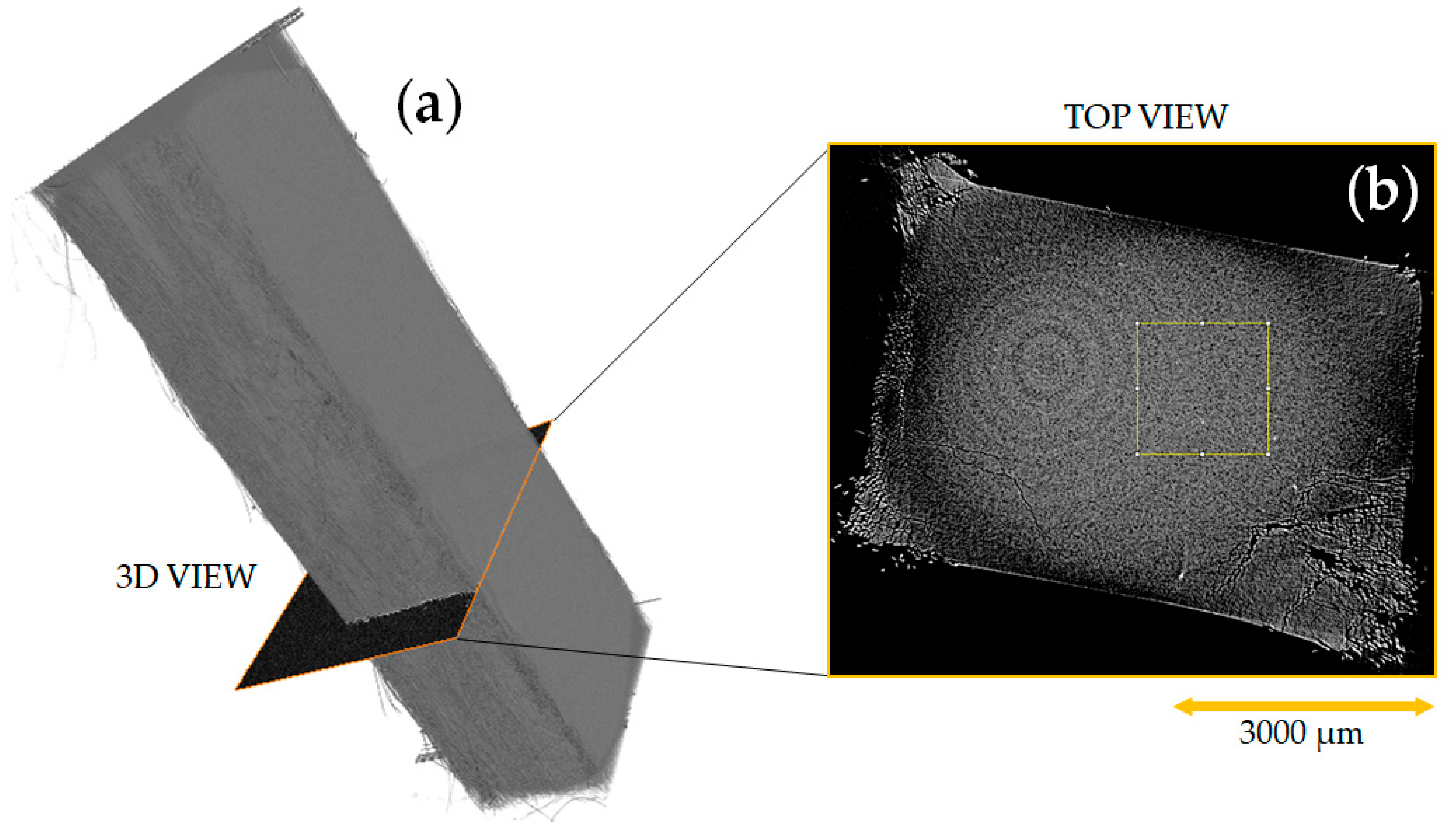 Polymers 13 01408 g014